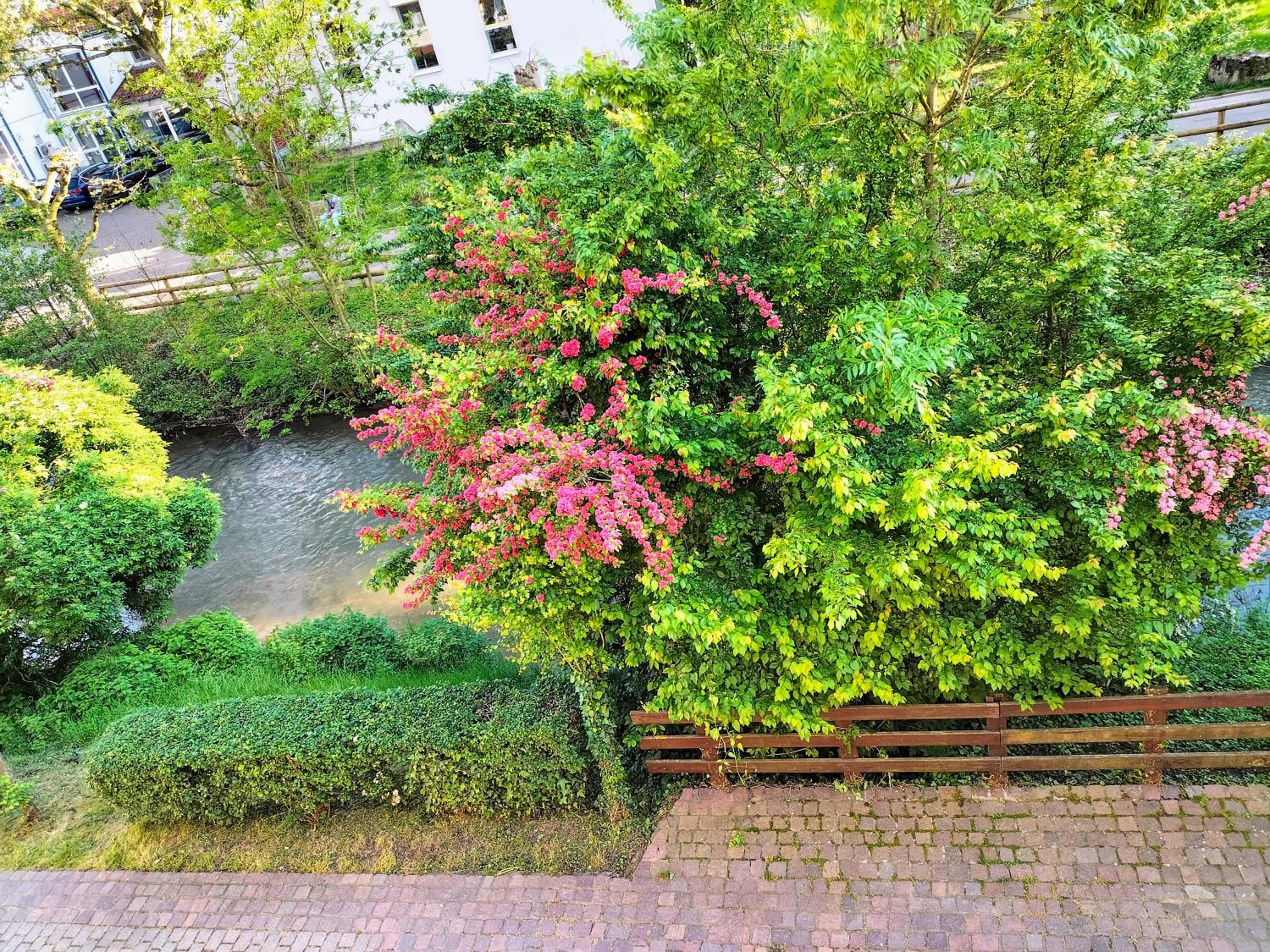 Alte Stadtmauer - Apartment