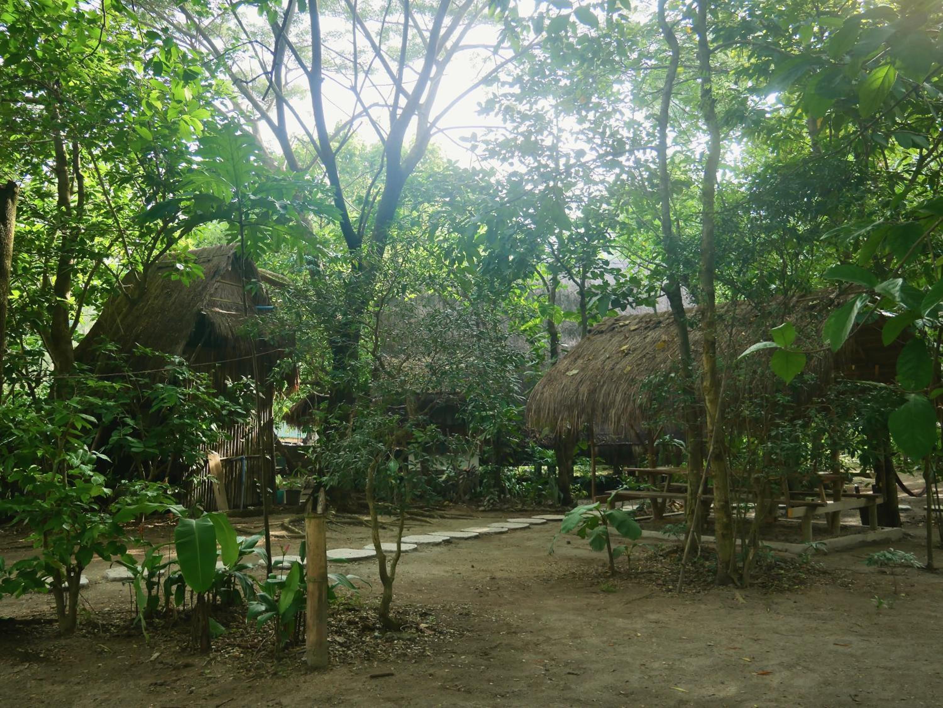 Photo 32