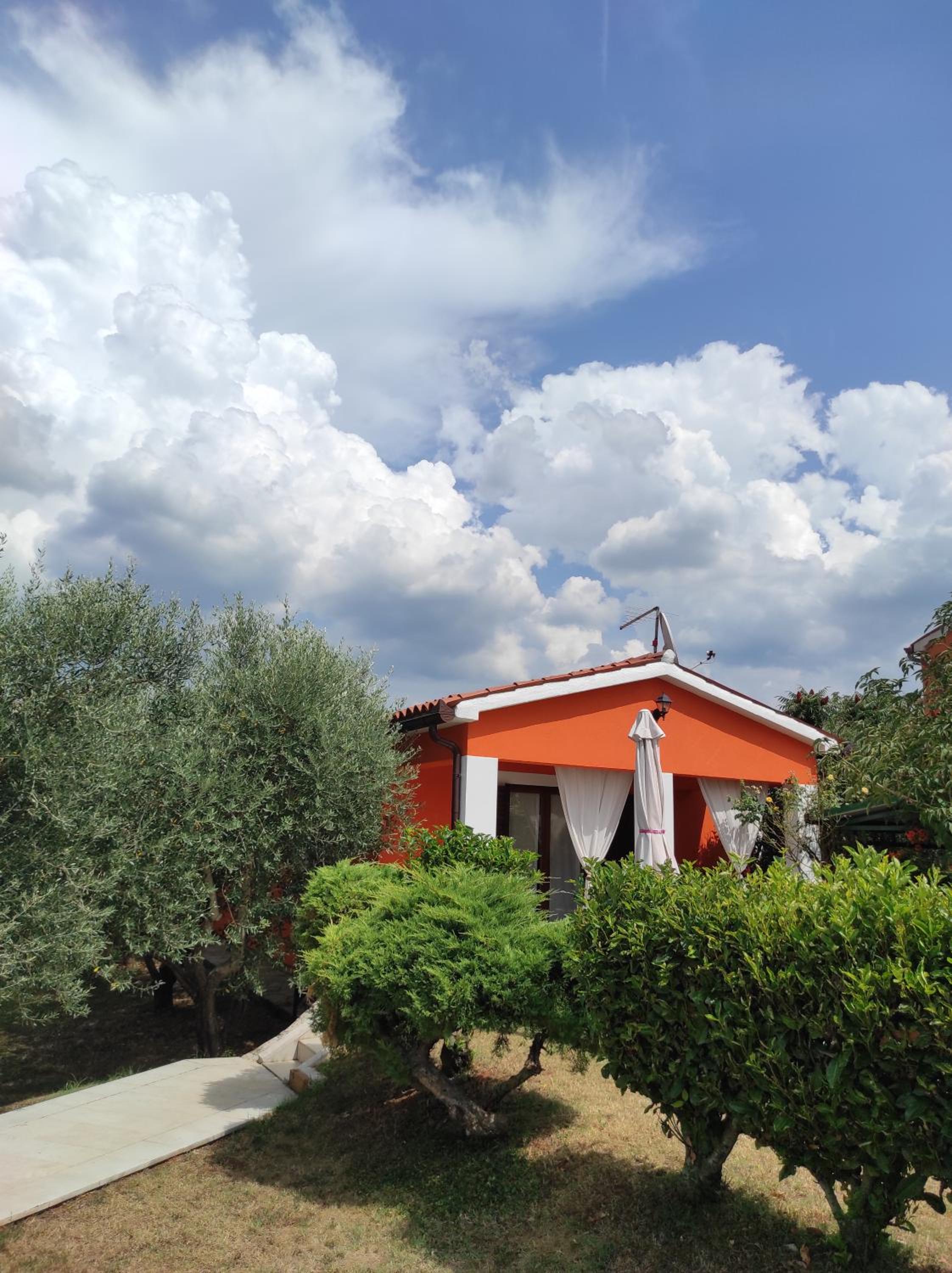 Photo 44