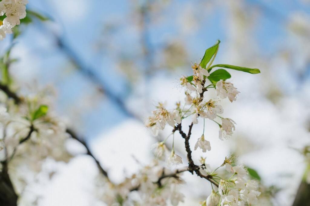 Doncaster East Home walking to shops restaurants