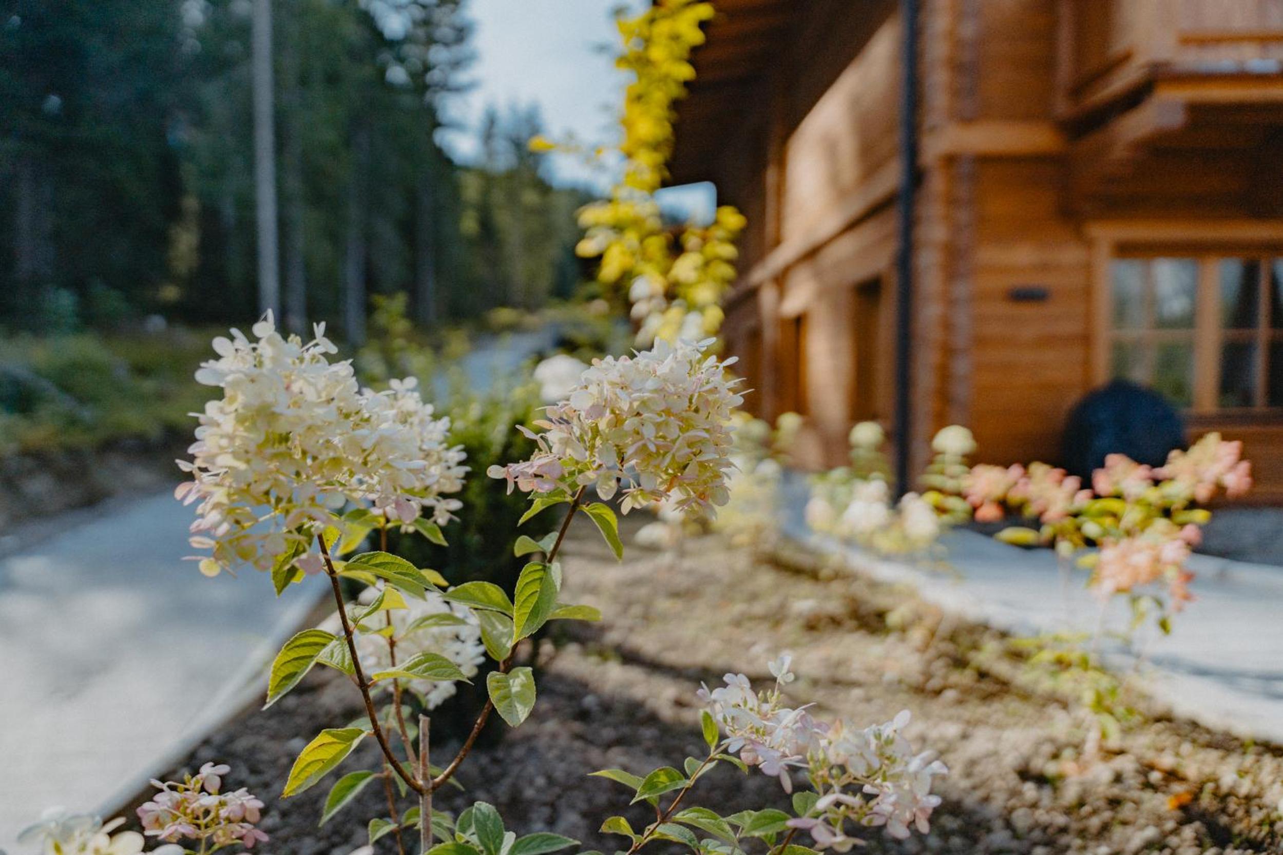 Sissi´s green Chalets