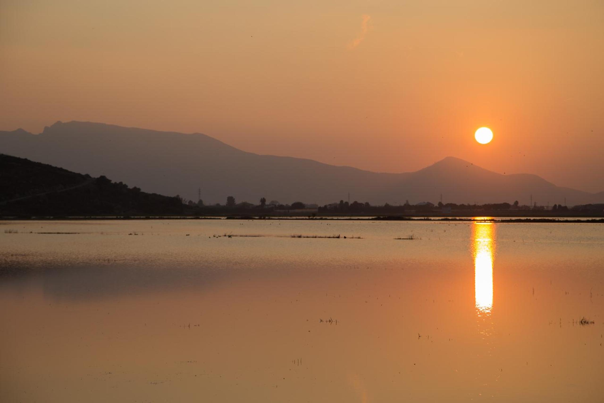 Sea View Terrace Apartment Cullera photo 5
