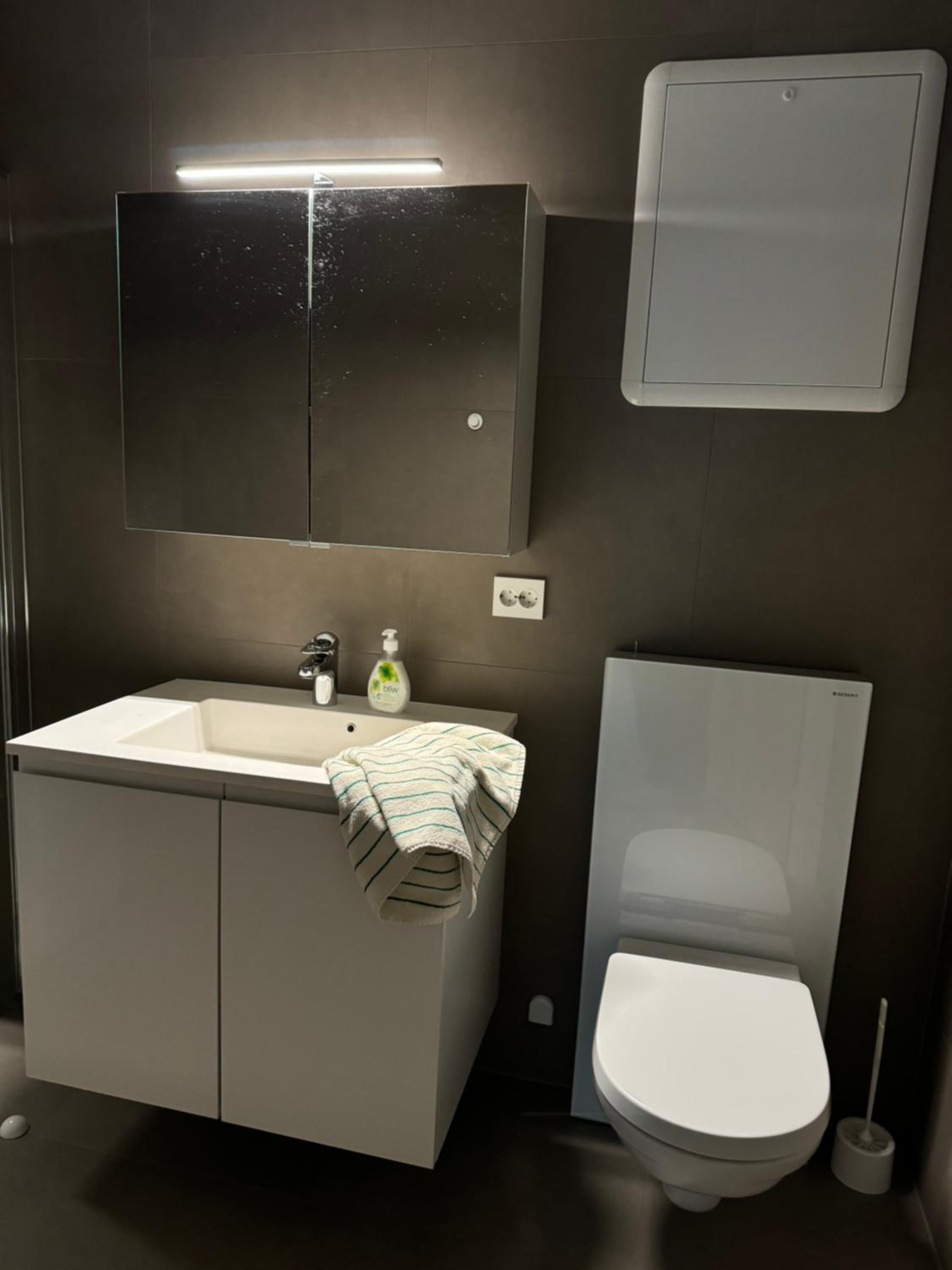 Liten og moderne hybel med gratis parkering view 5