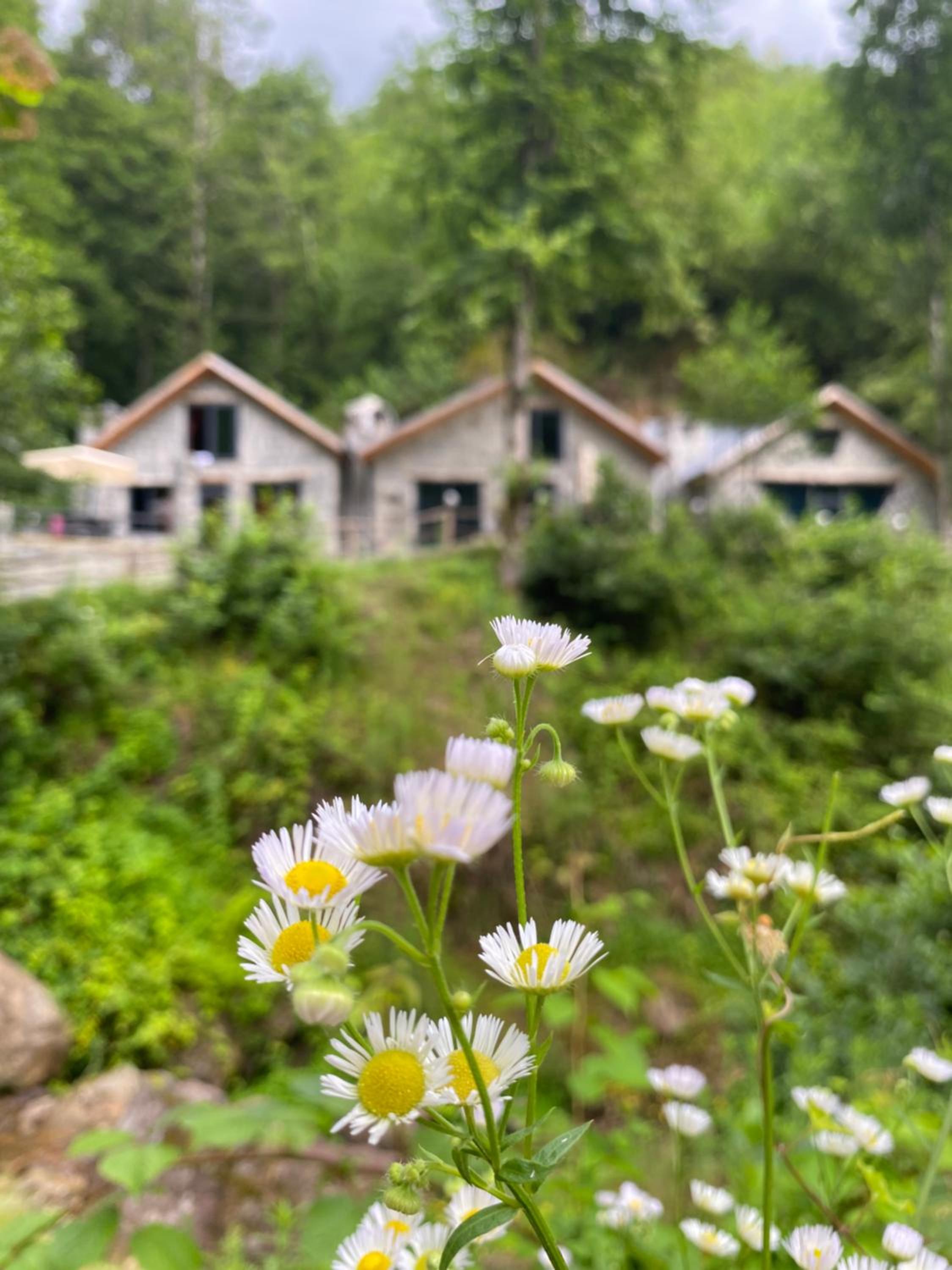 Elavina Suit Bungalov, fotografía 5