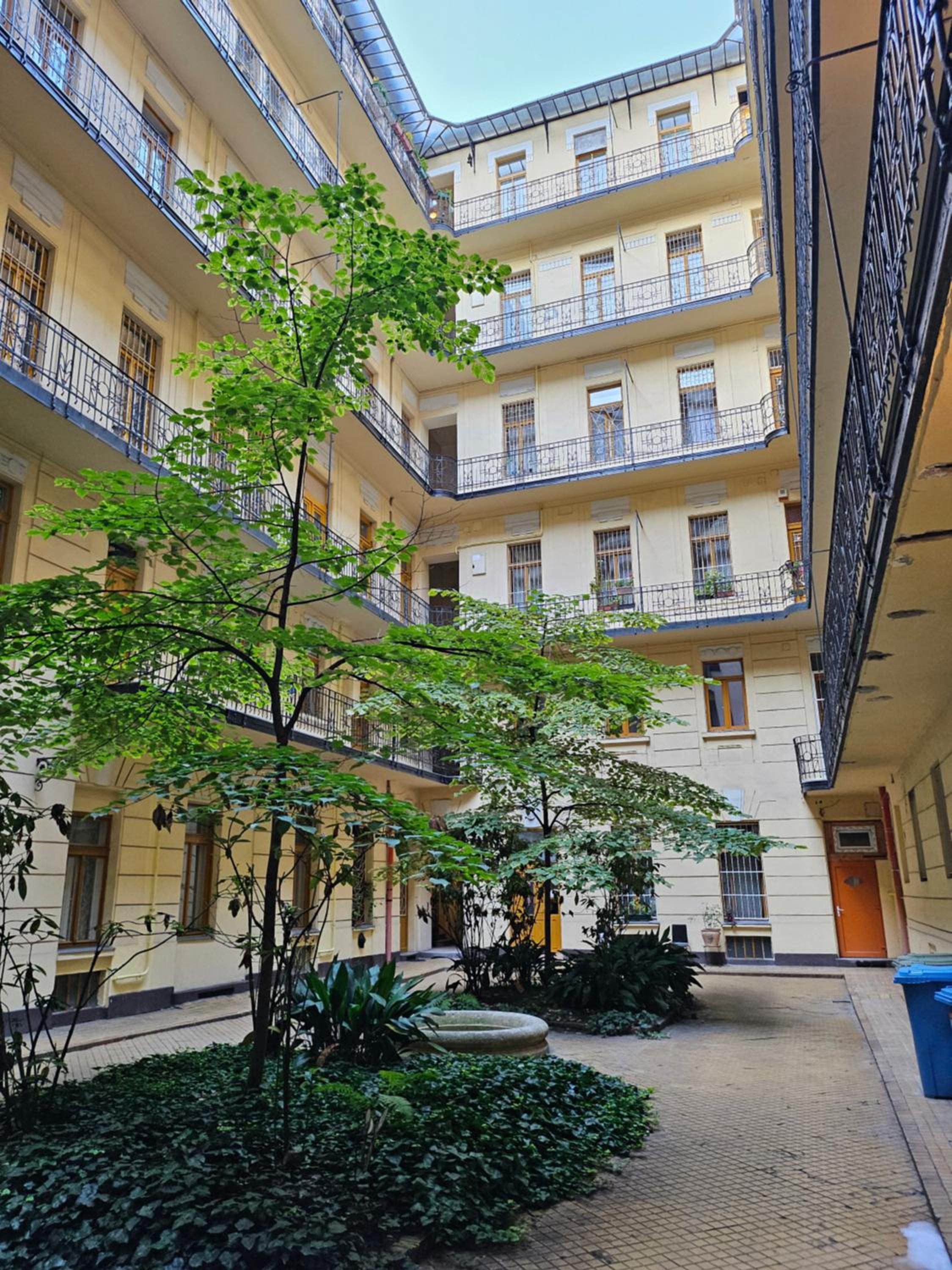 Pet Friendly 2BDR Apartment view 2
