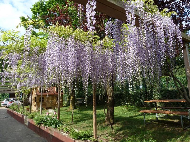 La Casa Trasparente - locazioni brevi view 2