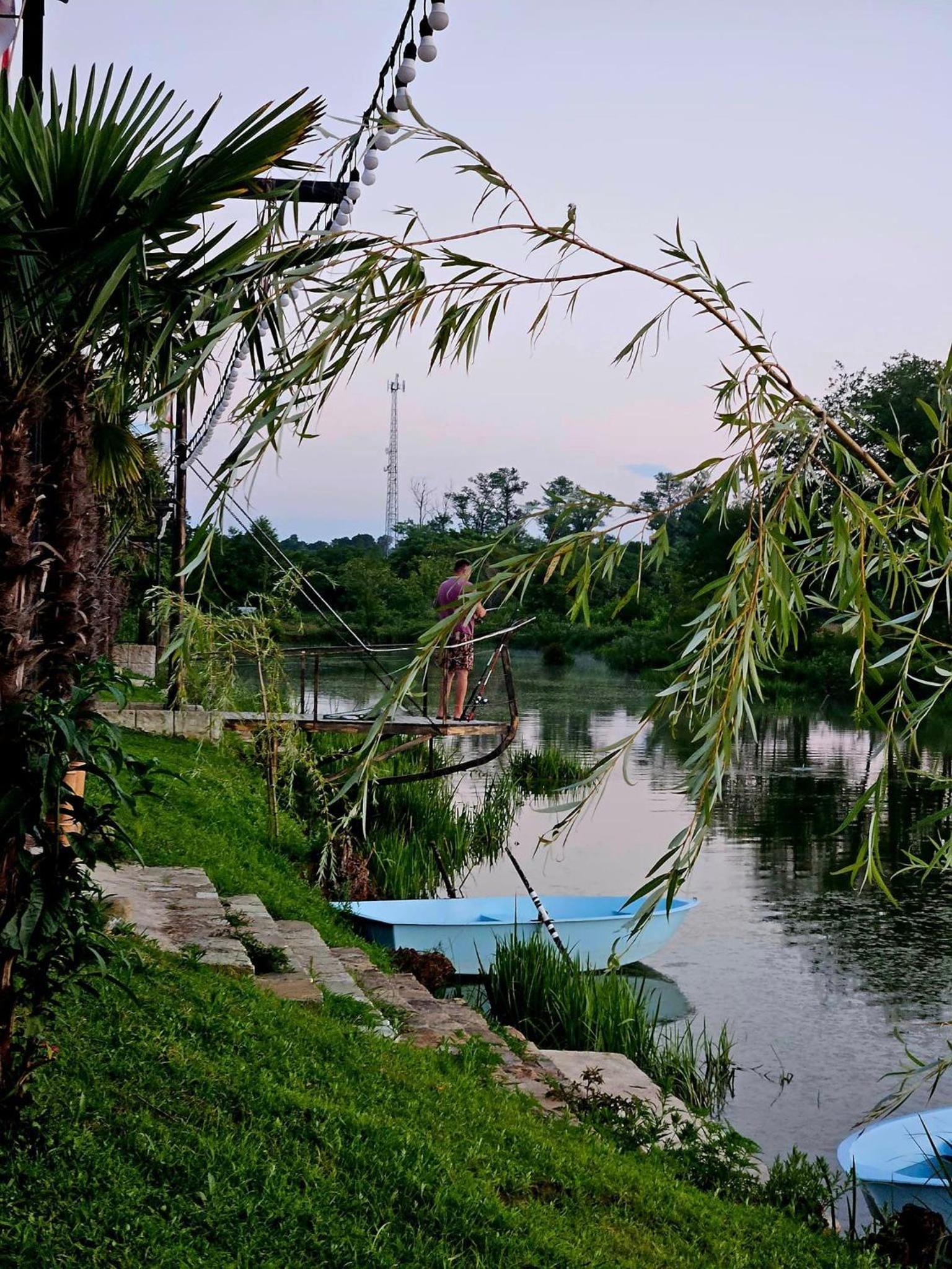 Photo 44