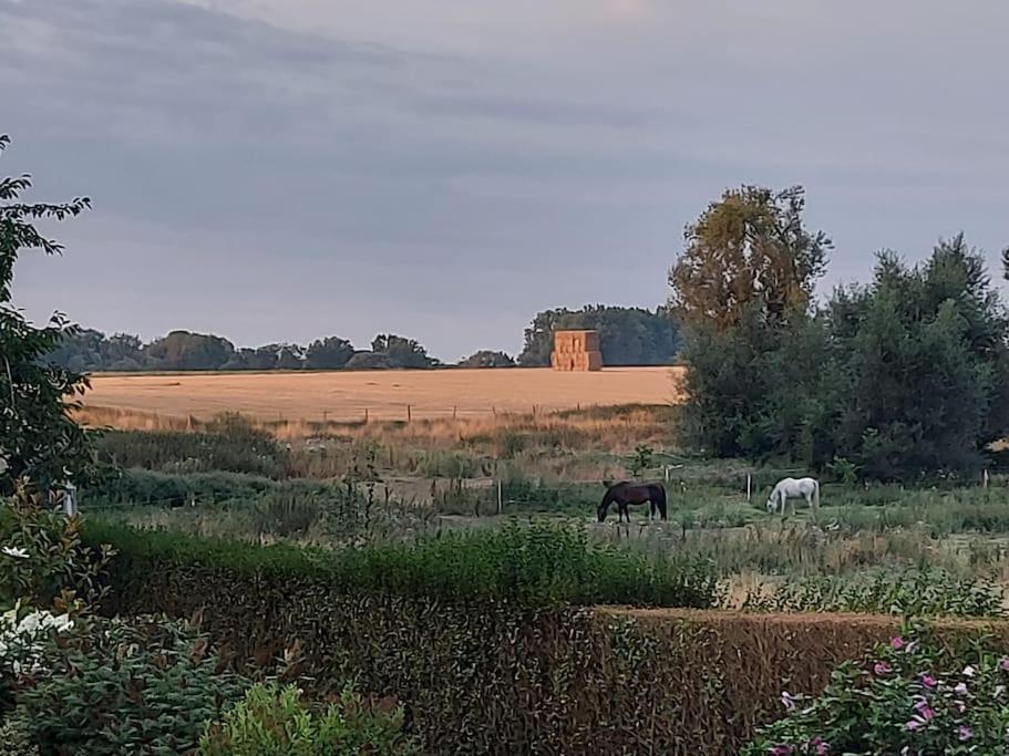 140 m2 de charme à la campagne dans un style design