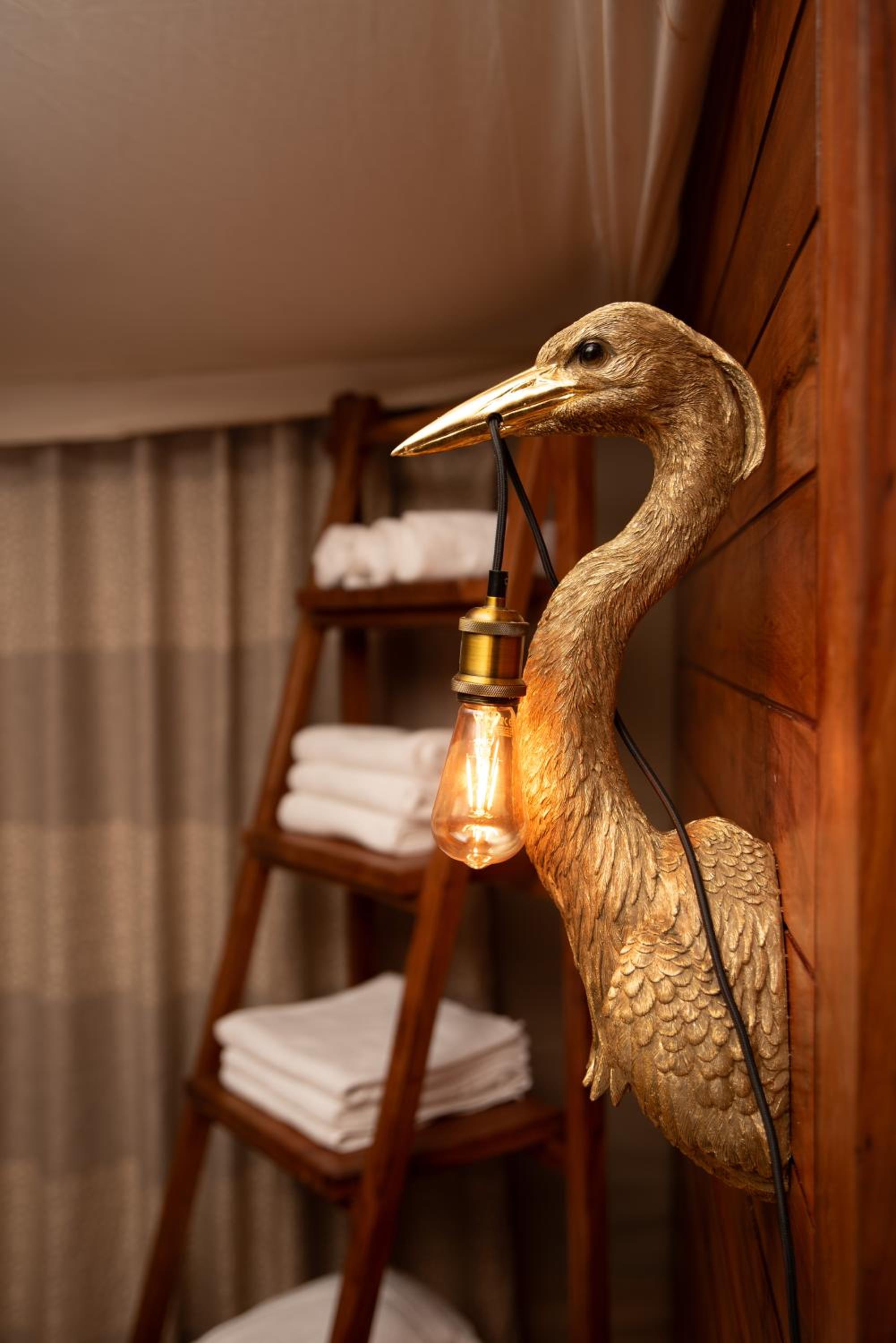 Serengeti National Park Vacations - Serengeti Luxury Retreat - Property Image 15