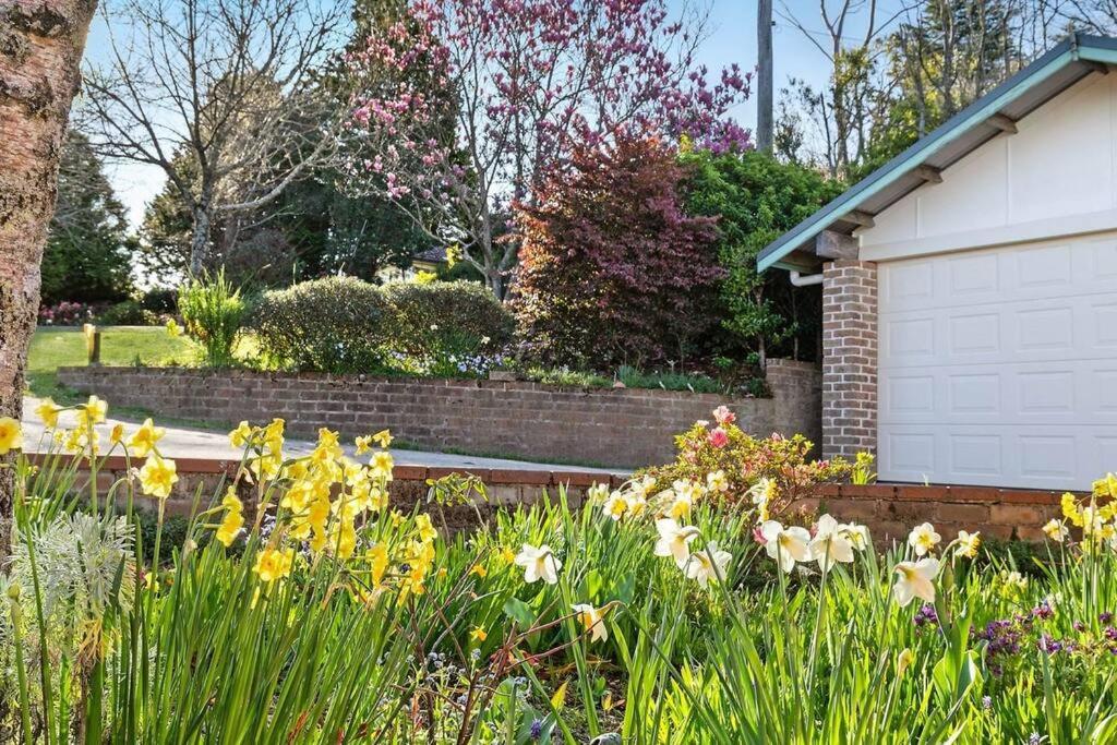 Azimuth - Spacious Family Retreat with City Views
