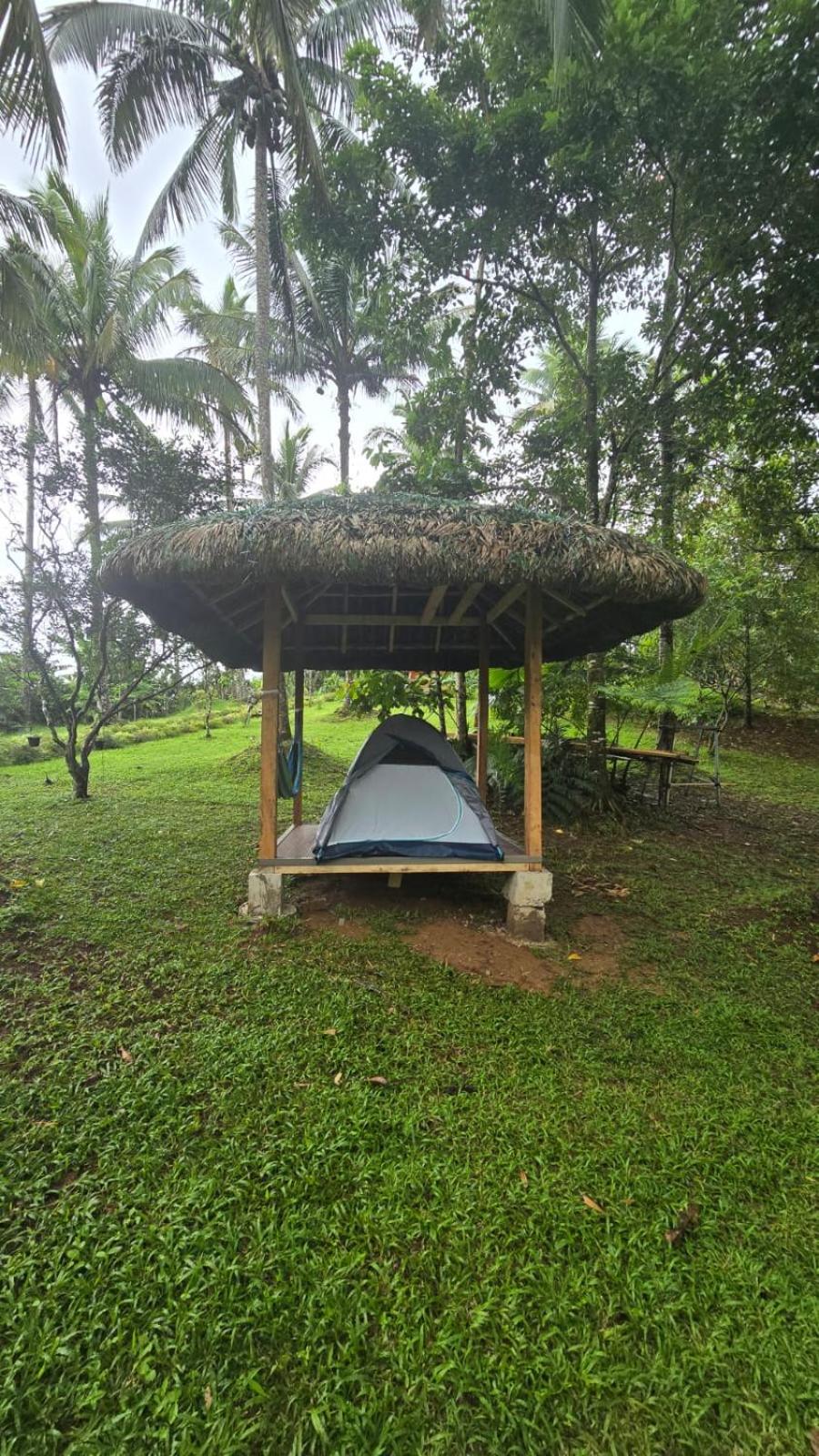 Elnora's Farm