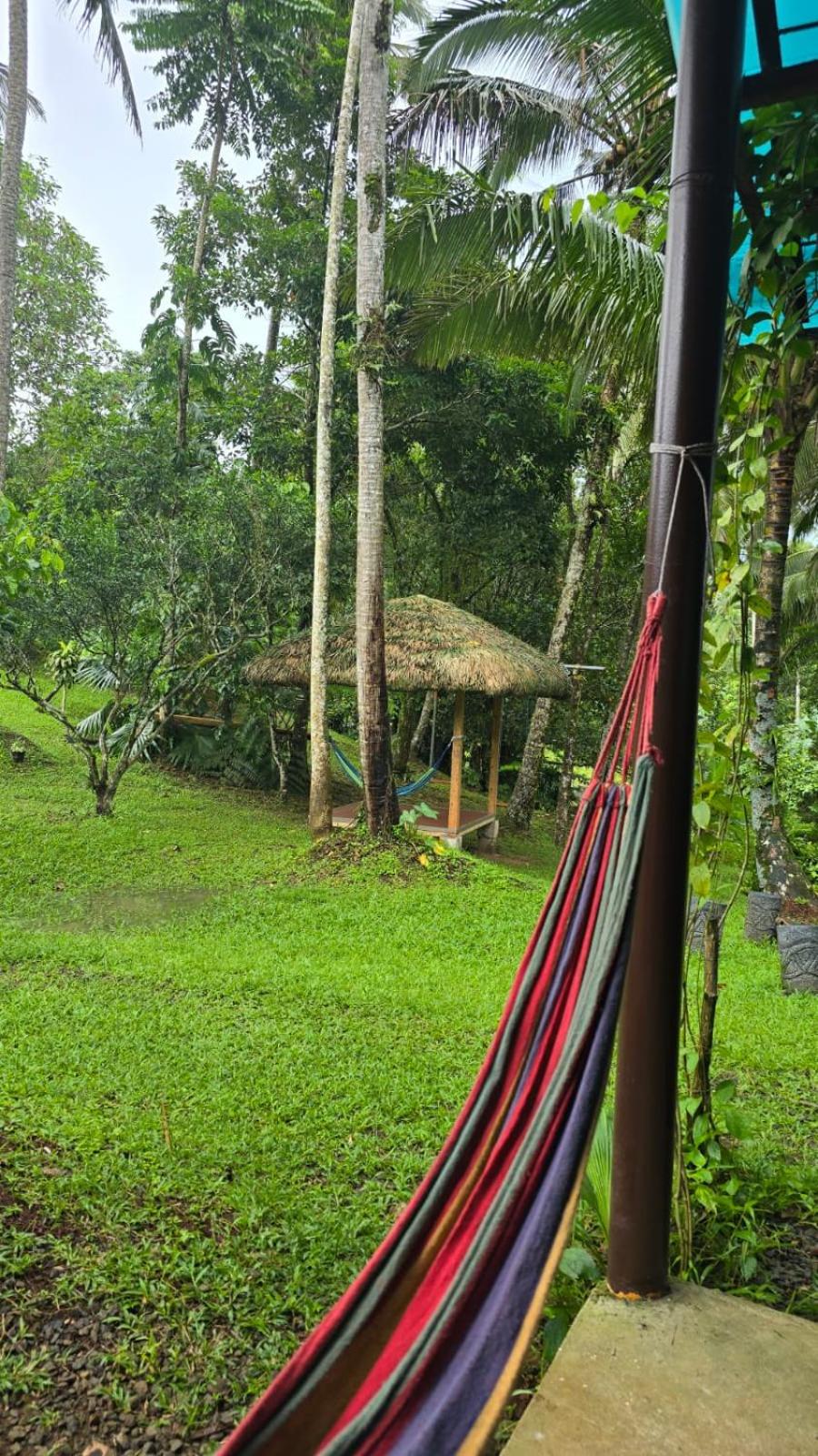 Elnora's Farm
