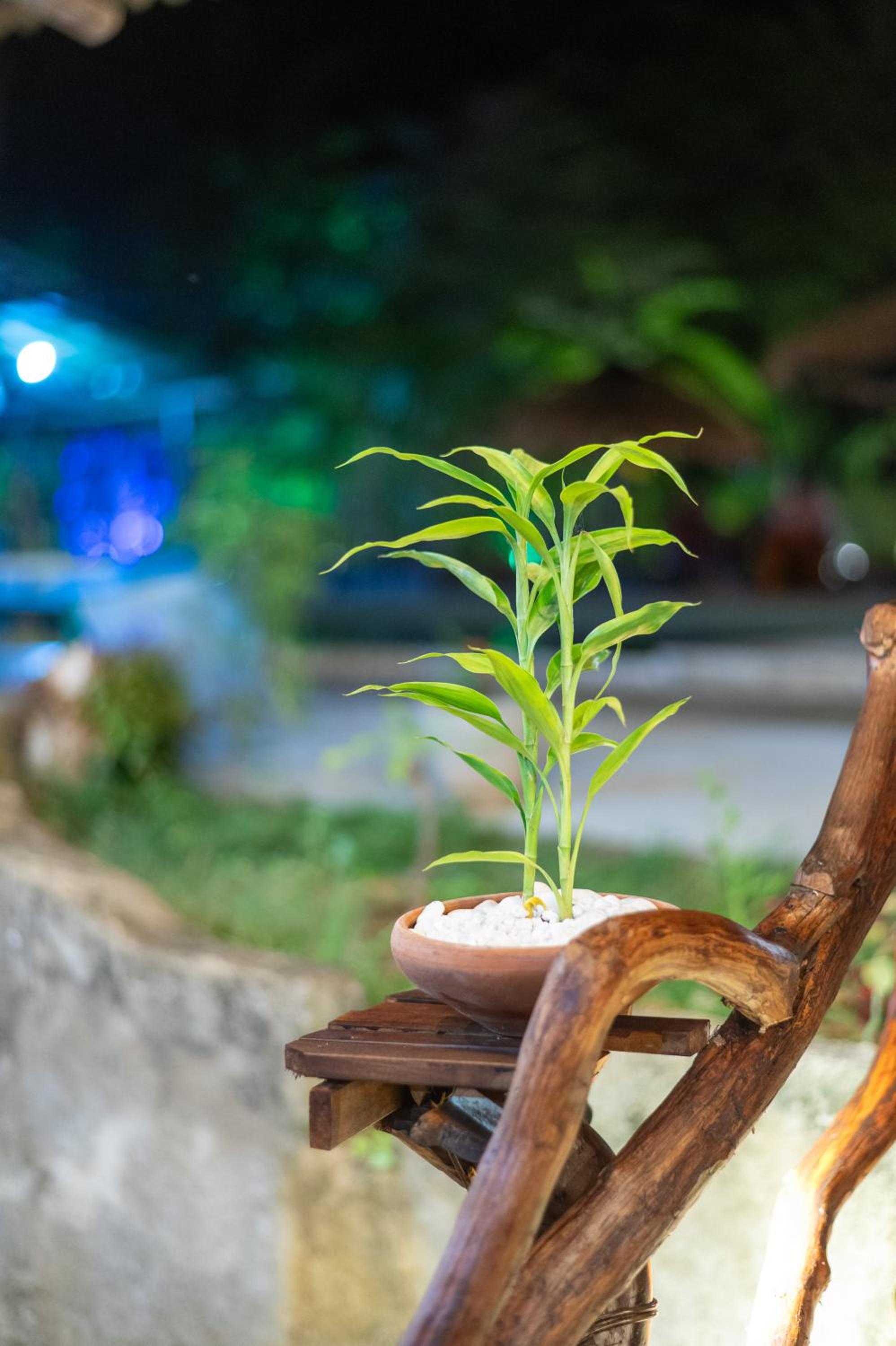 Ayurvedic Lanka Wellness Hotel