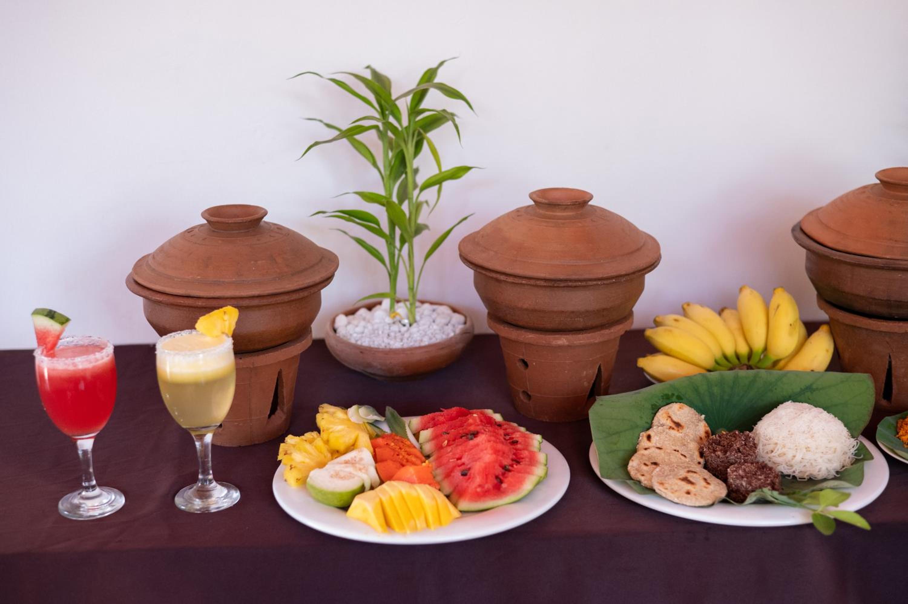 Ayurvedic Lanka Wellness Hotel