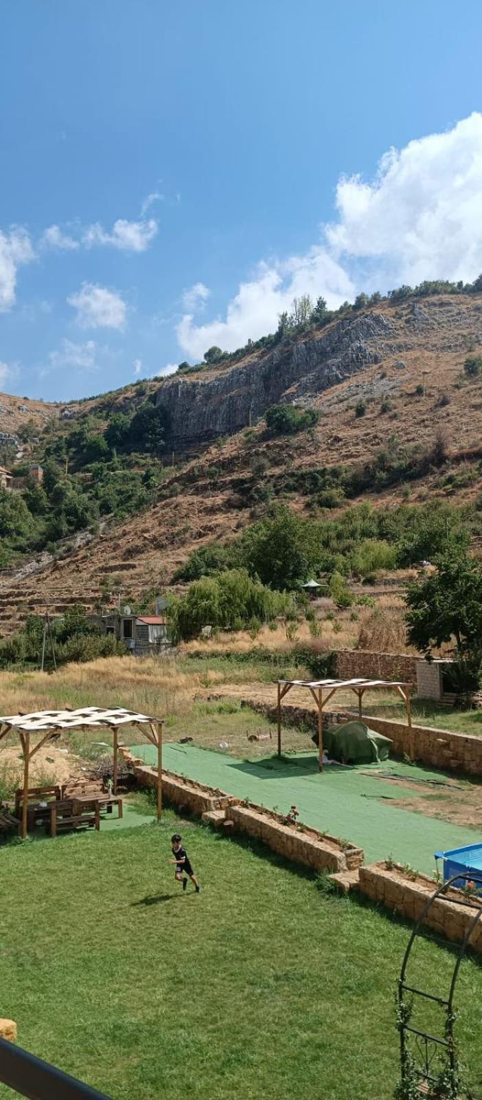 Rokwood faraya