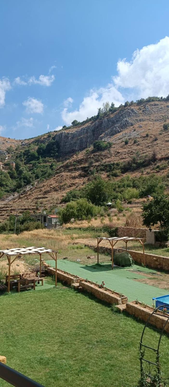 Rokwood faraya
