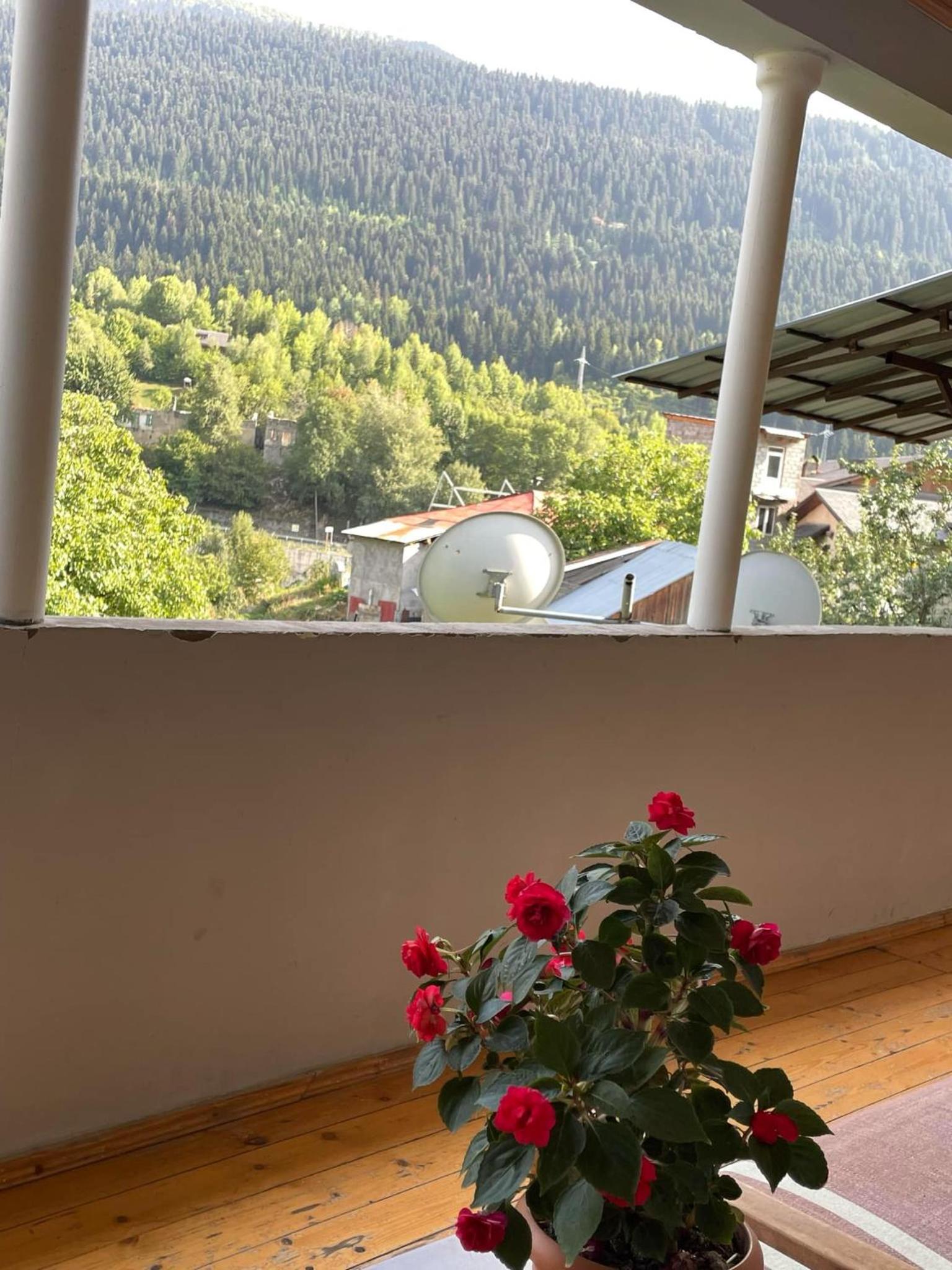 Guest House Nene view 4