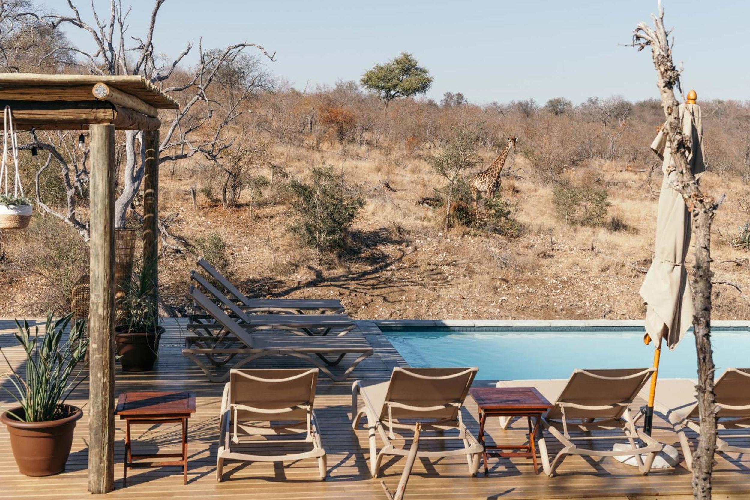 Isambane Camp view 5