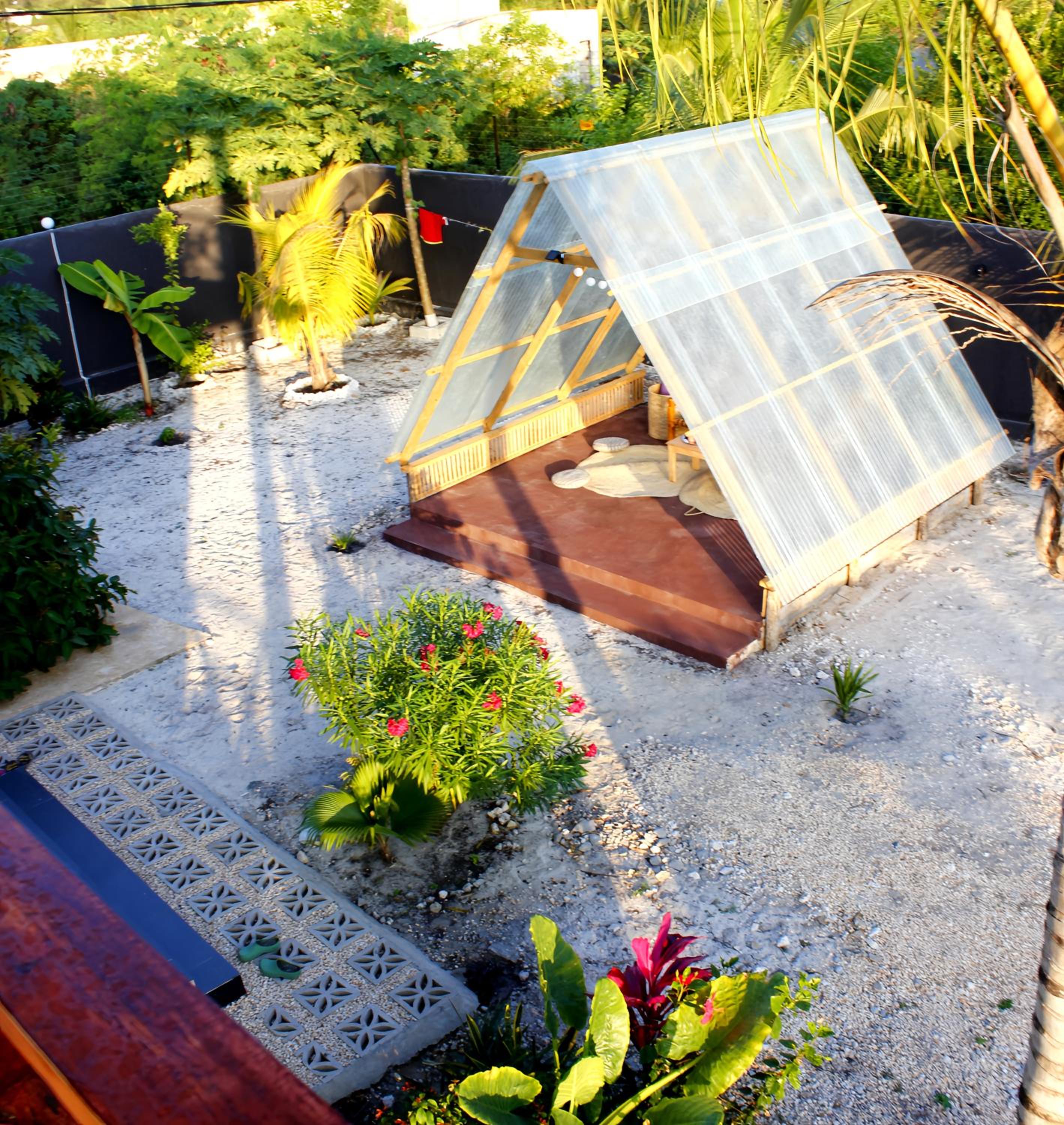 Photo 8