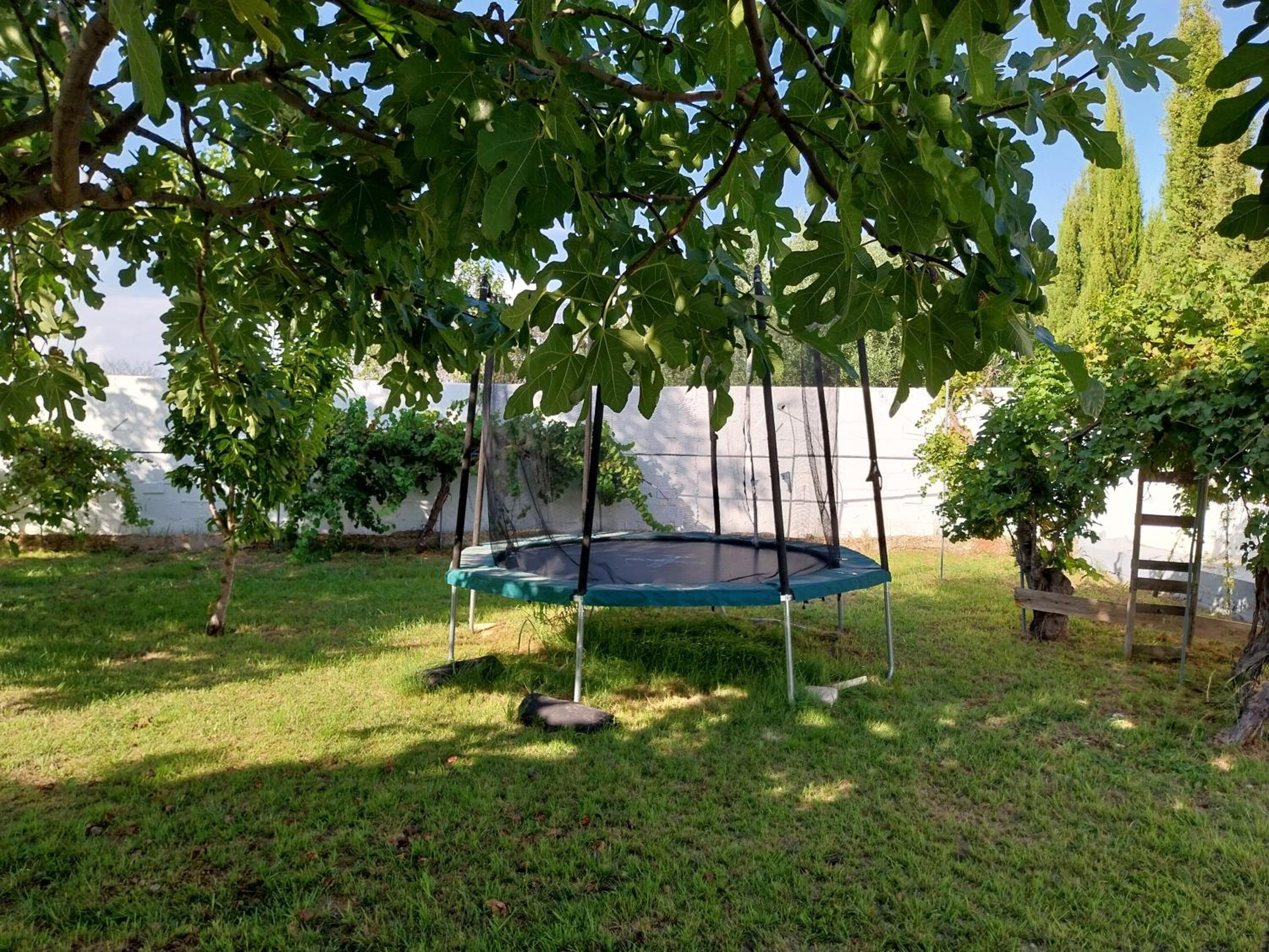 Photo 14