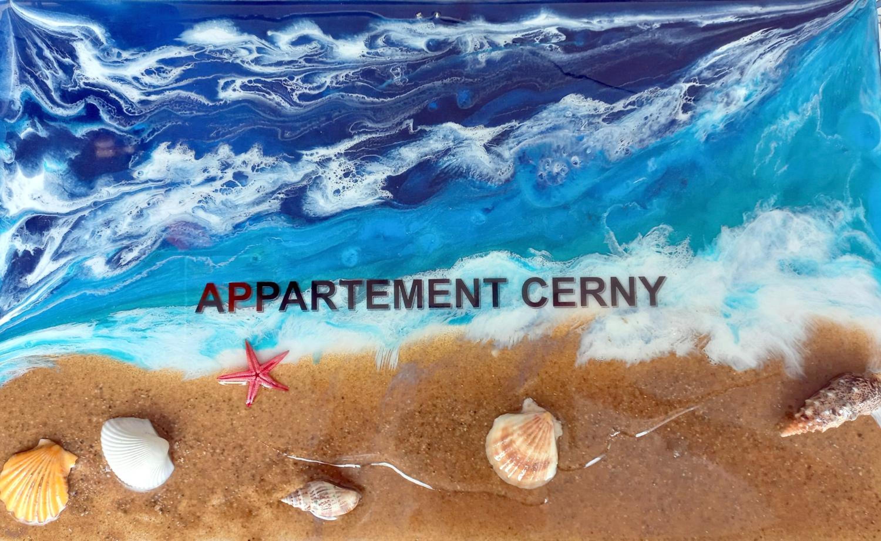 Appartment Cerny view 2