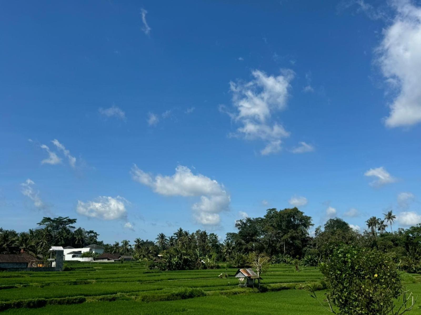 Uma Dadi Villas Ubud view 2