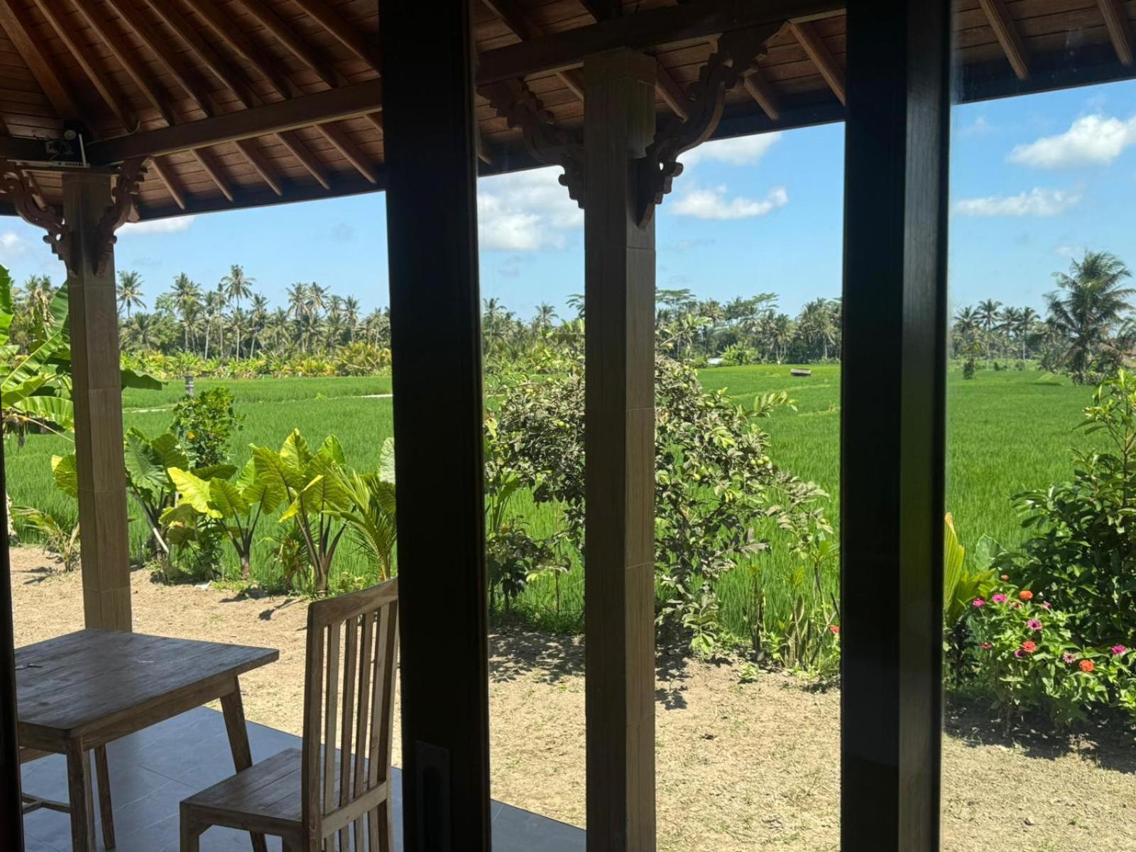 Uma Dadi Villas Ubud view 3