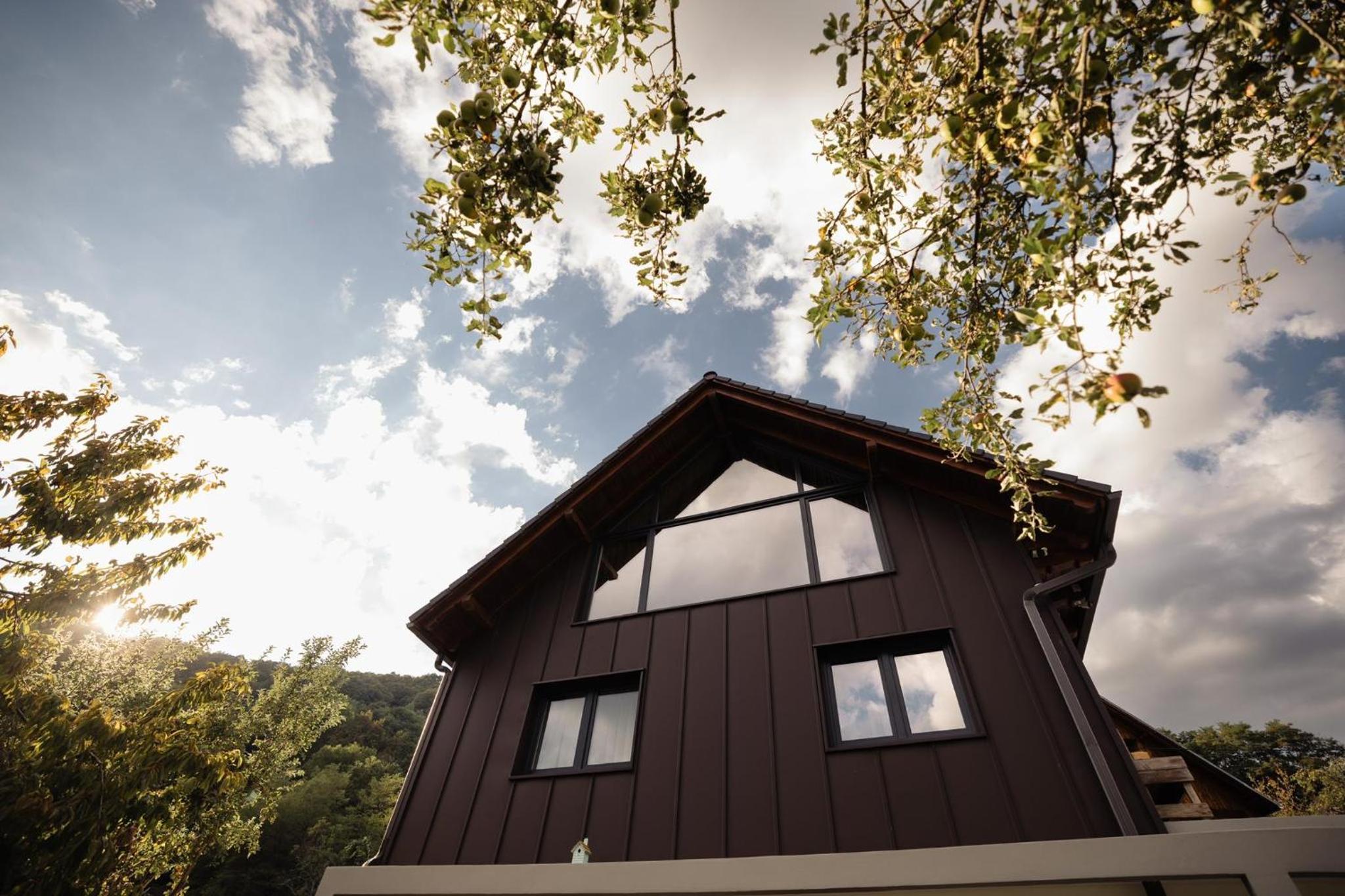 Panoramic Chalet Transalpina