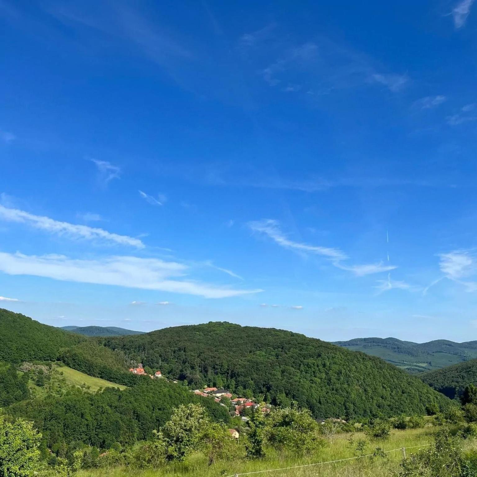 Vadász Étterem és Panzió view 3