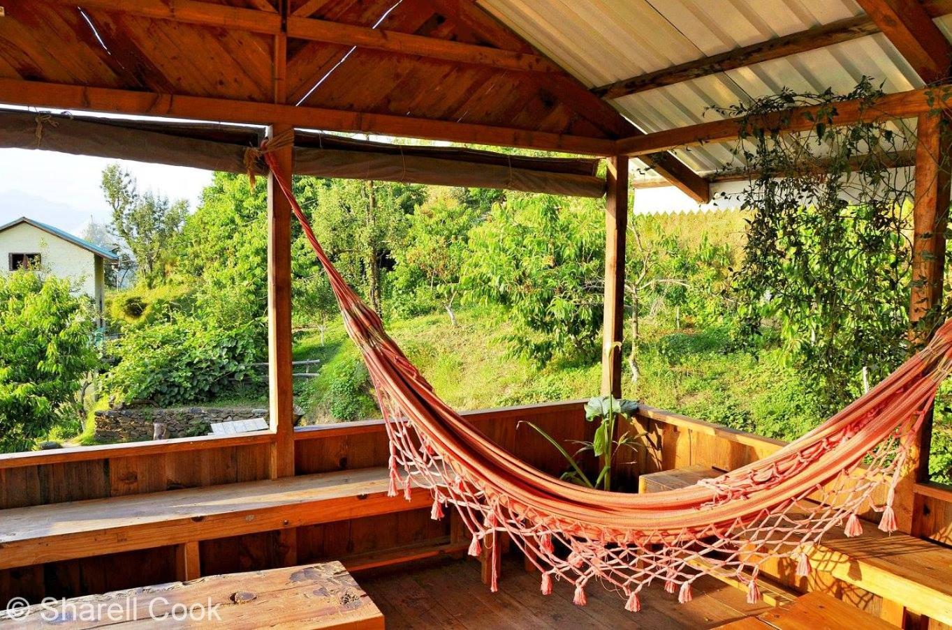 Shyamala Orchard - Unique Woodfire Pizza Retreat by Homeyhuts view 3