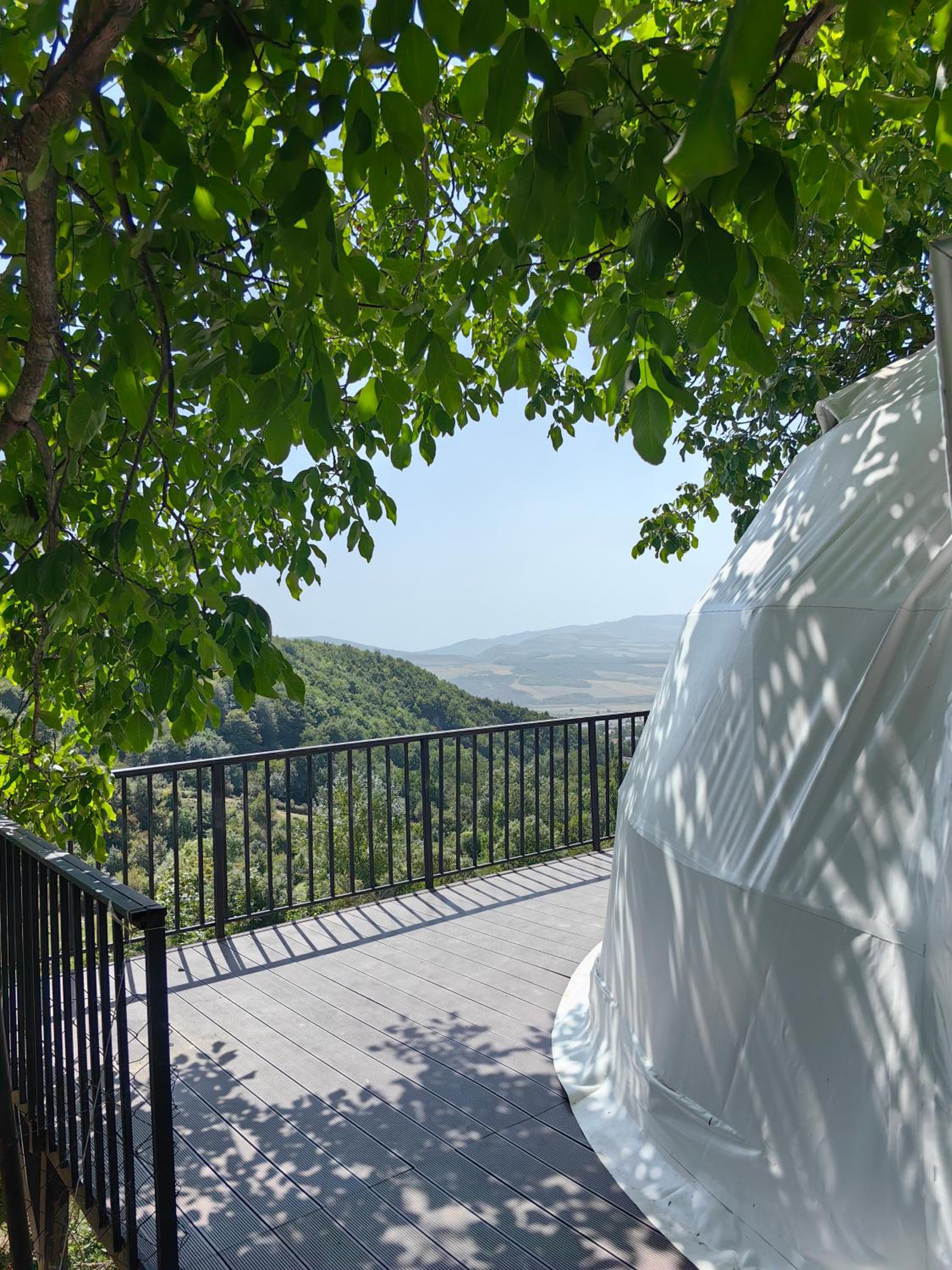 Dream Domes Glamping