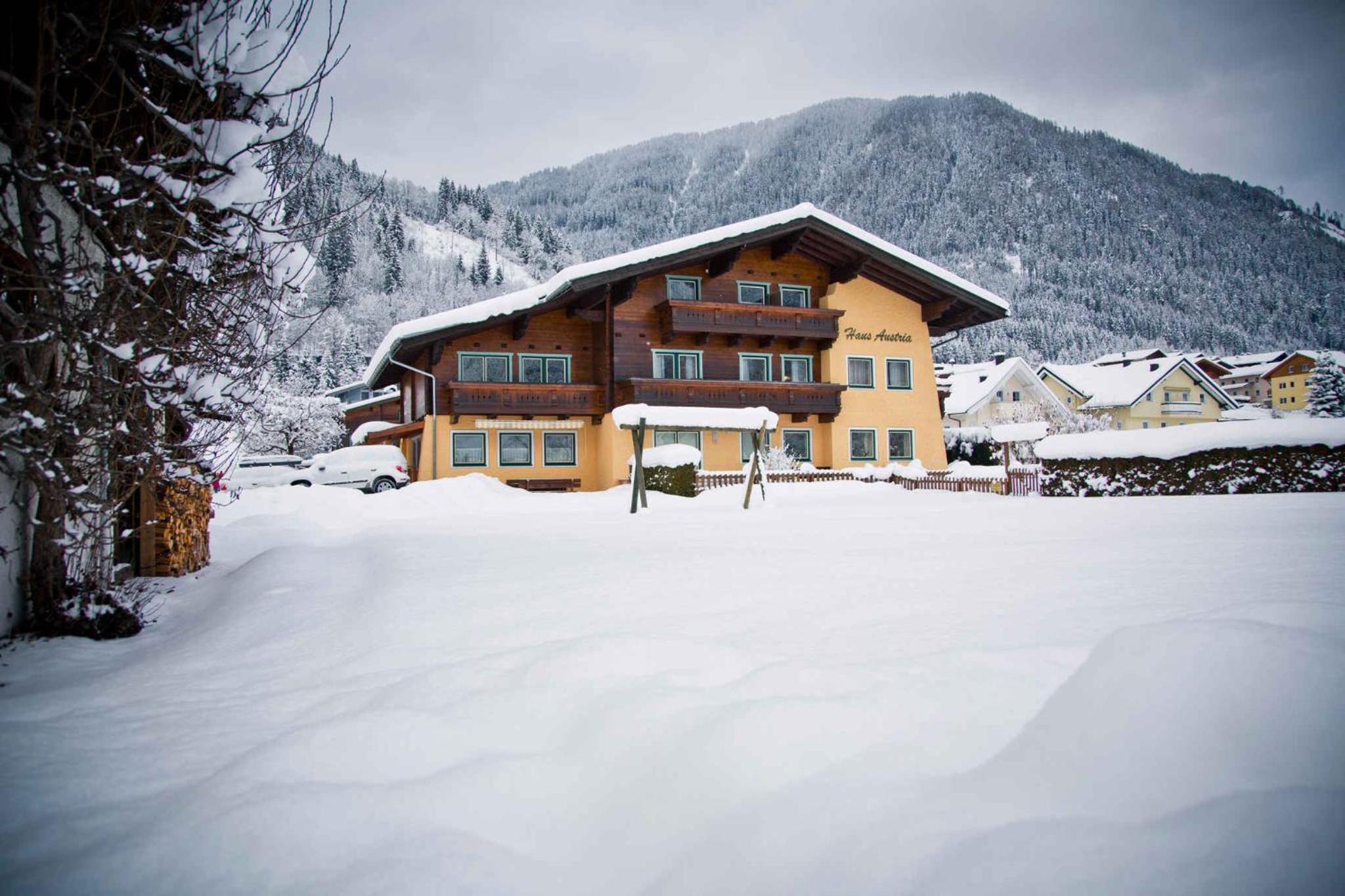 Apartments in Flachau - Salzburger Land 35293