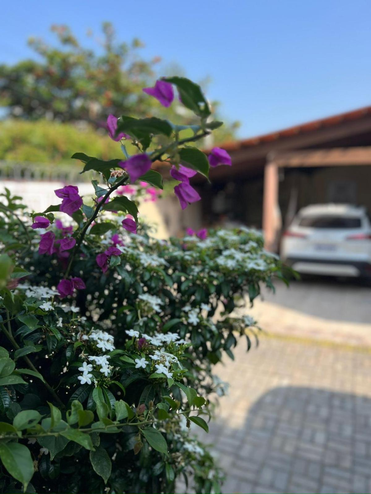 Pousada Flor Dália