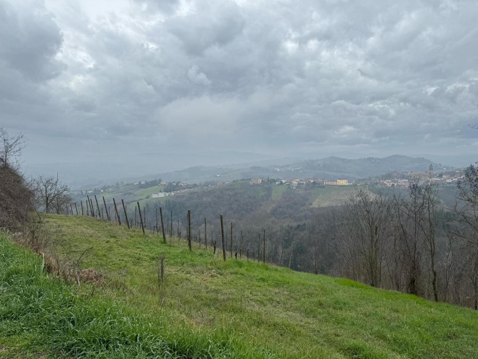 Oltre po pavese view 4