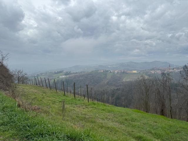 Oltre po pavese view 5