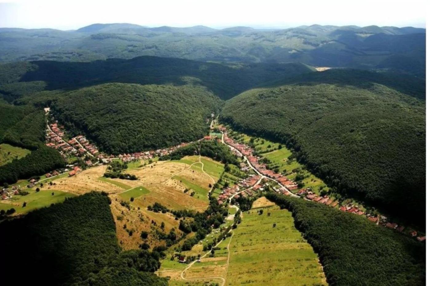 Vadász Étterem és Panzió view 4