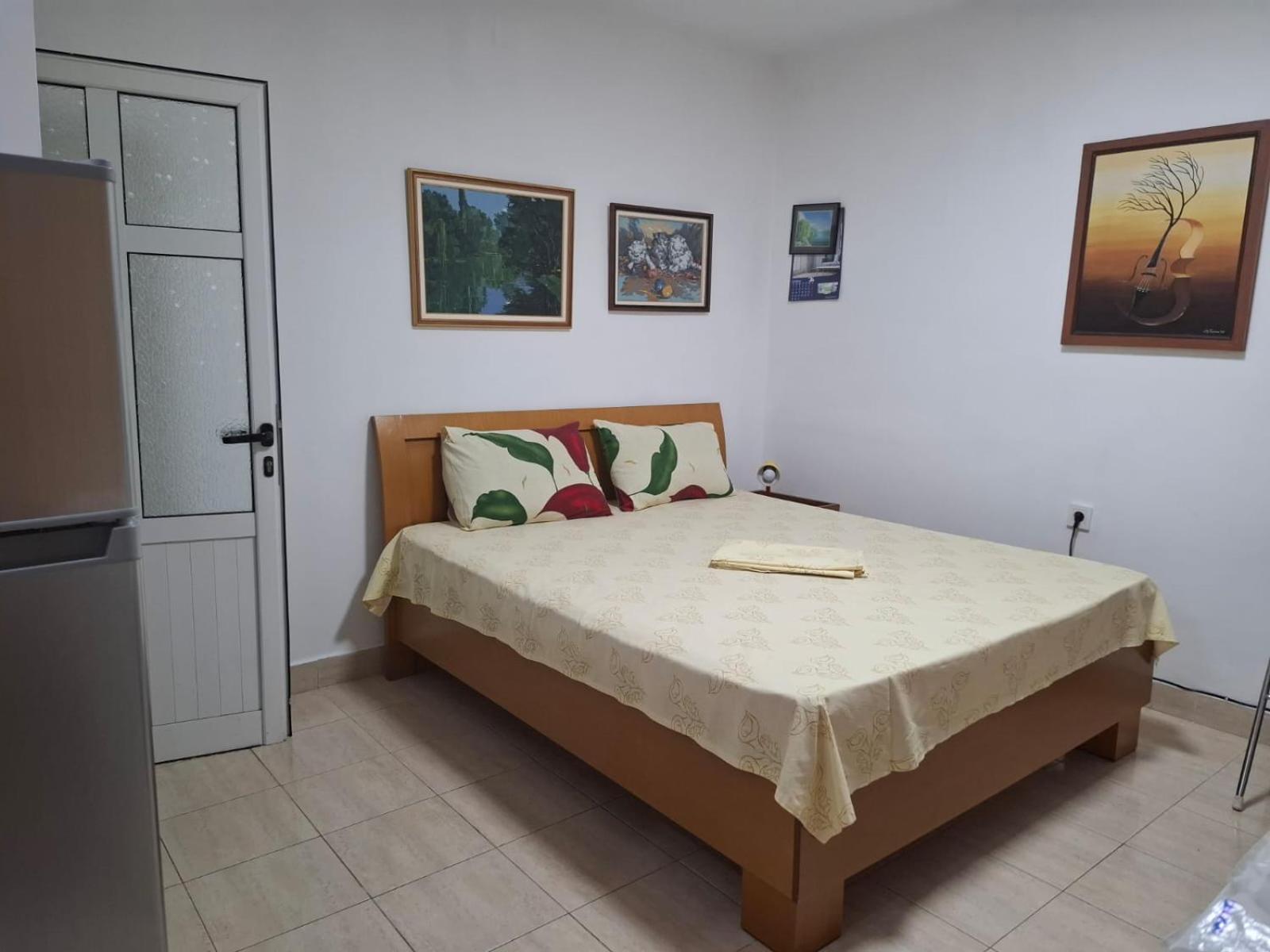 Apartament Rinia in Pogradec