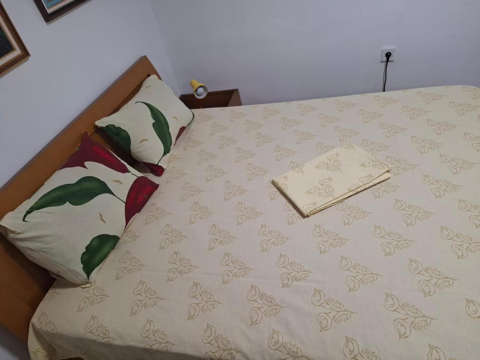 Apartament Rinia in Pogradec