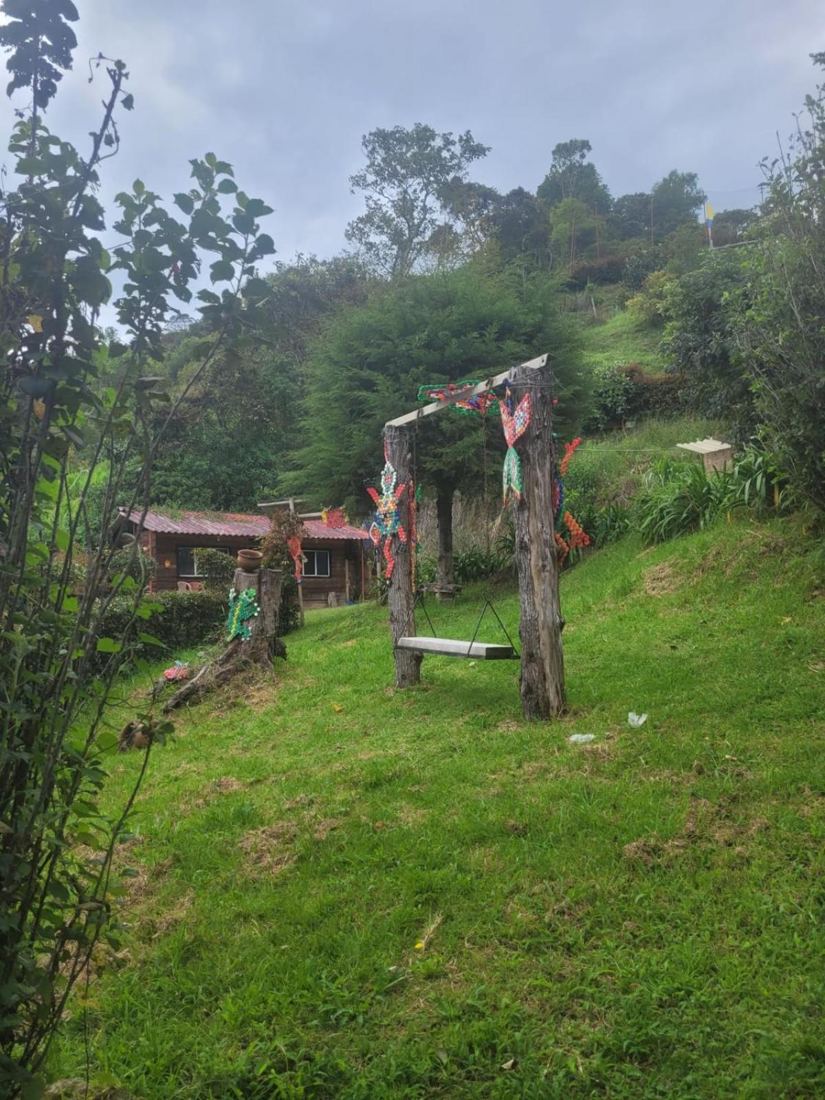 cabaña de campo