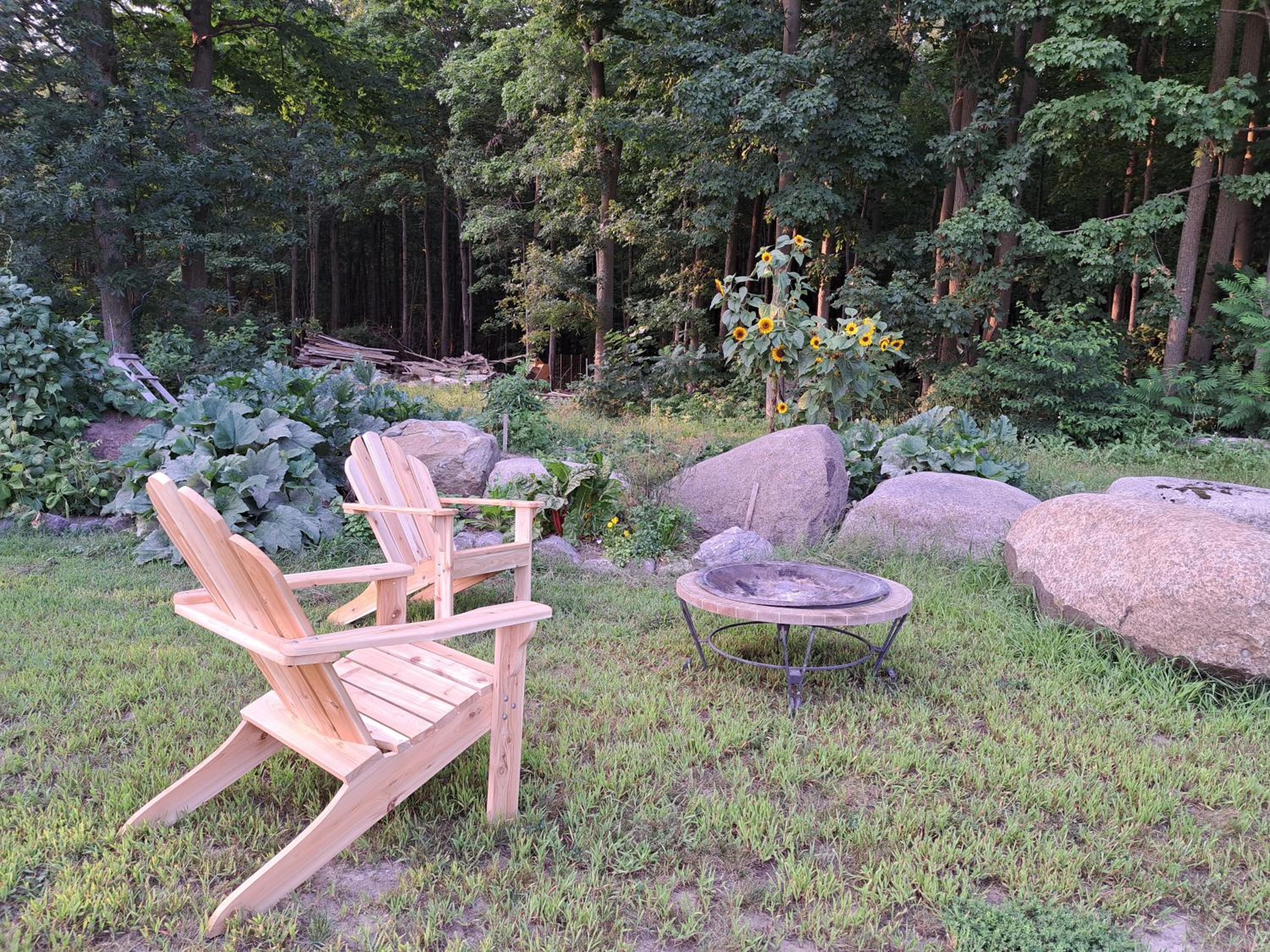 Luxury farm Stay, Alexandria