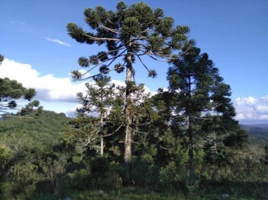 Refúgio Casa Rustica, Alto da Serra da Mantiqueira