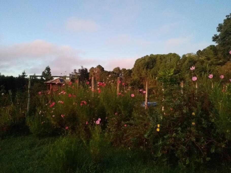 Refúgio Casa Rustica, Alto da Serra da Mantiqueira