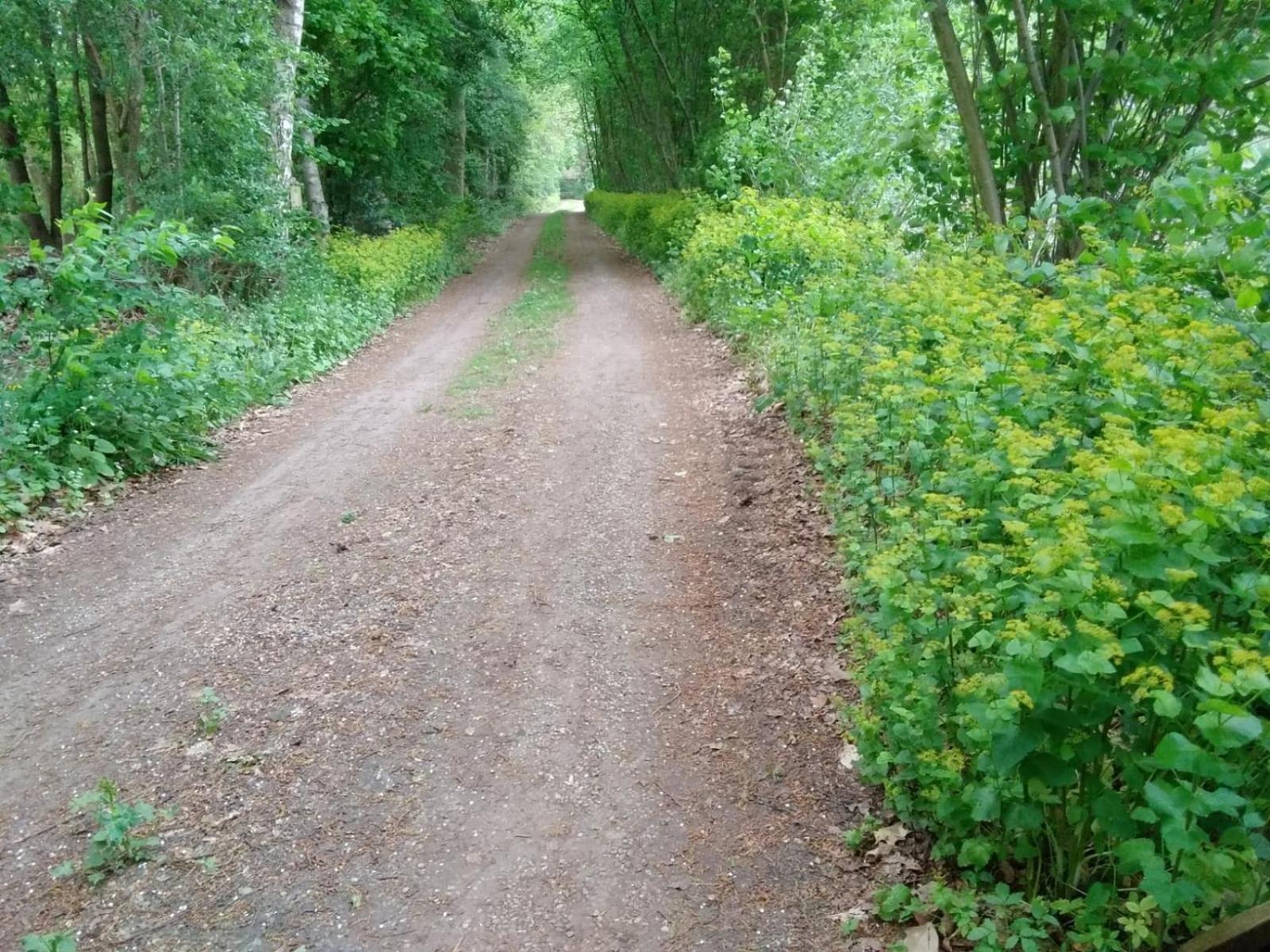 Doevelsteeg Ommen