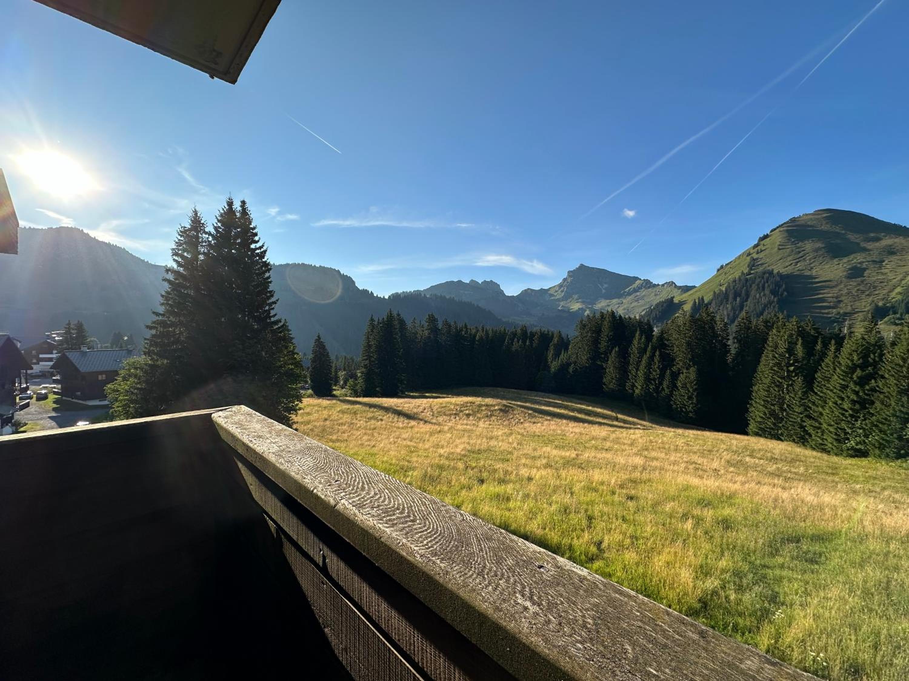 Studio au cœur du Praz-de-Lys - Les Pralyssimes