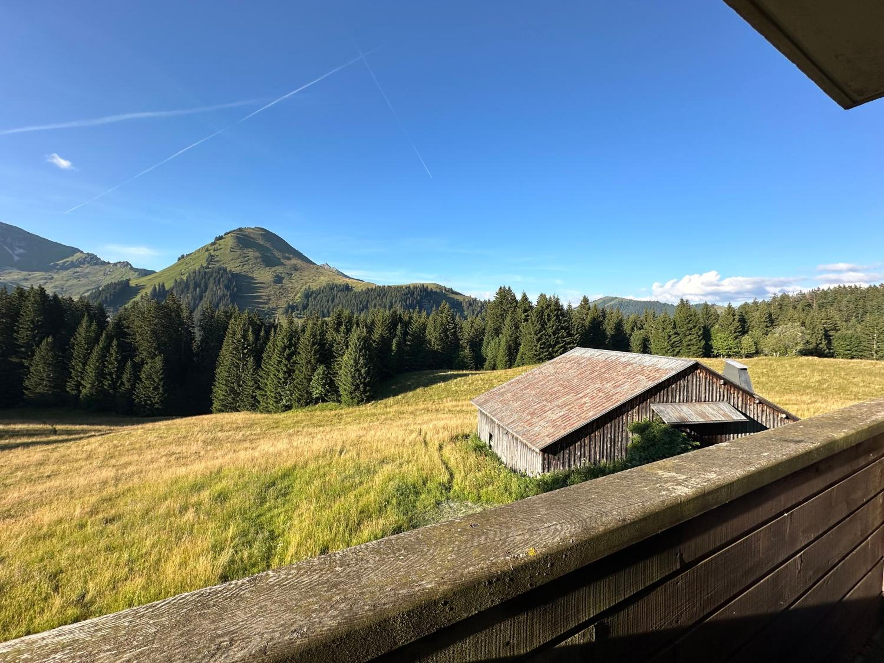 Studio au cœur du Praz-de-Lys - Les Pralyssimes
