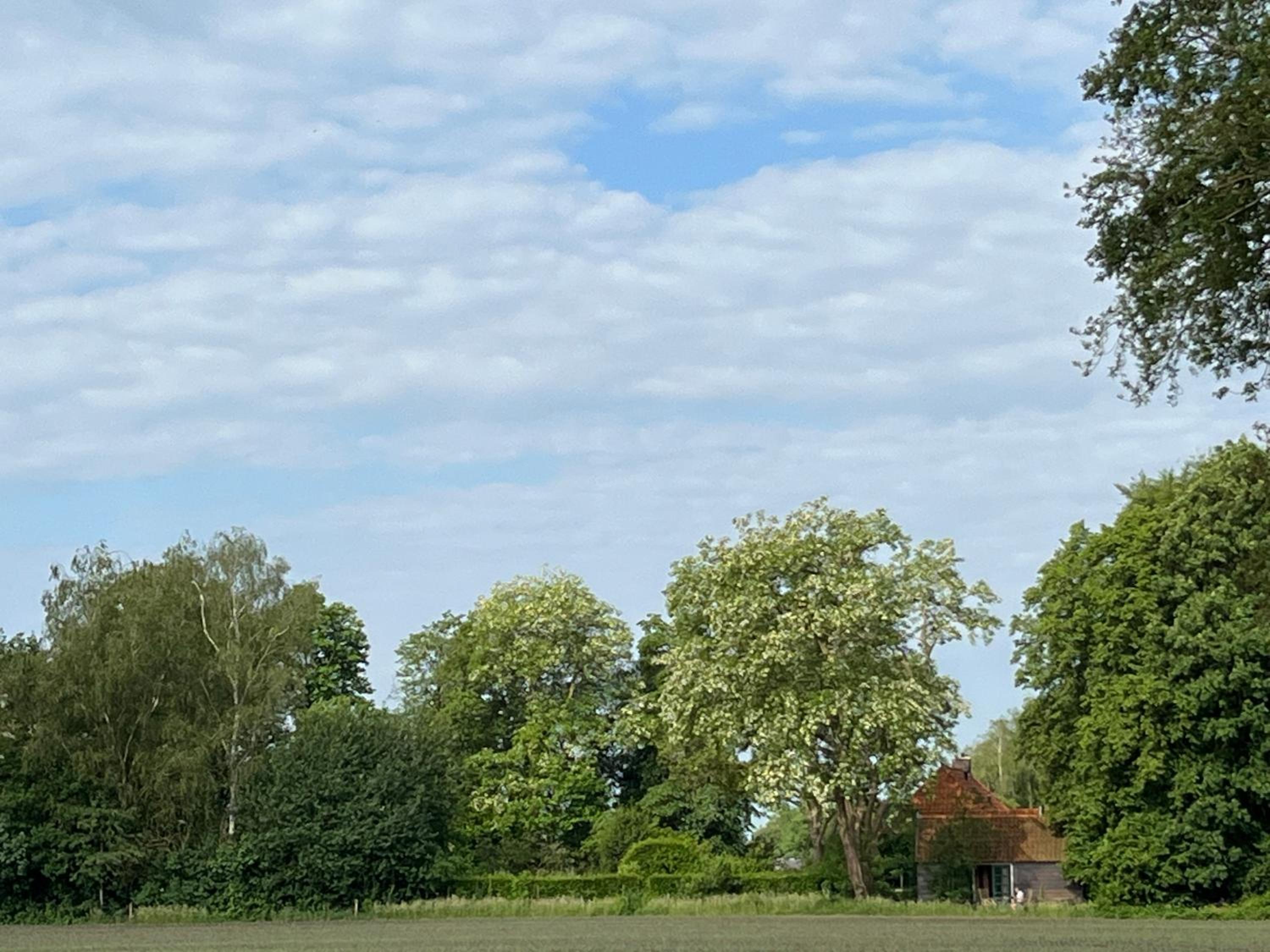 Doevelsteeg Ommen