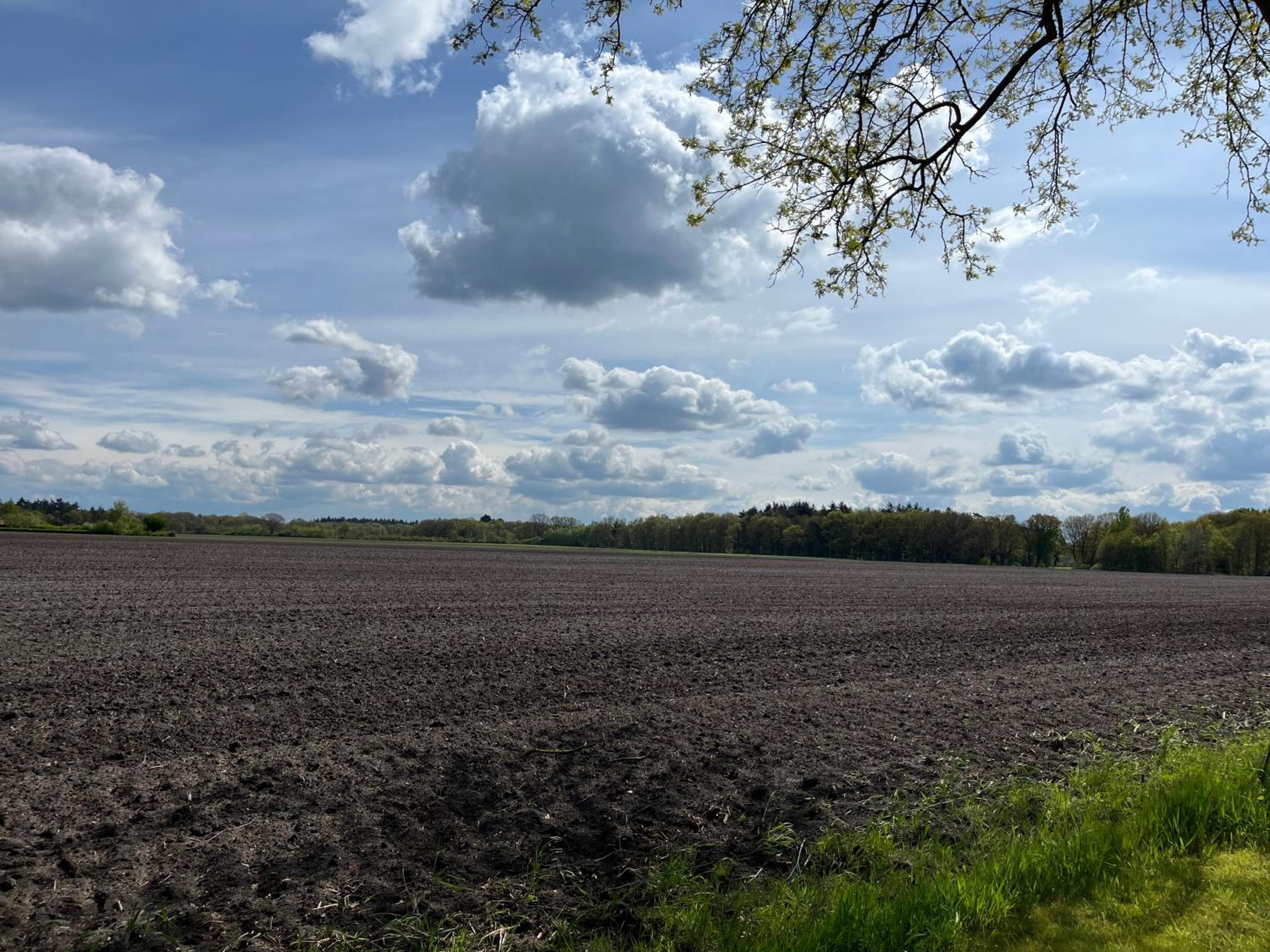 Doevelsteeg Ommen