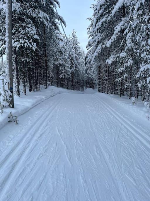 Karhurinne Koli