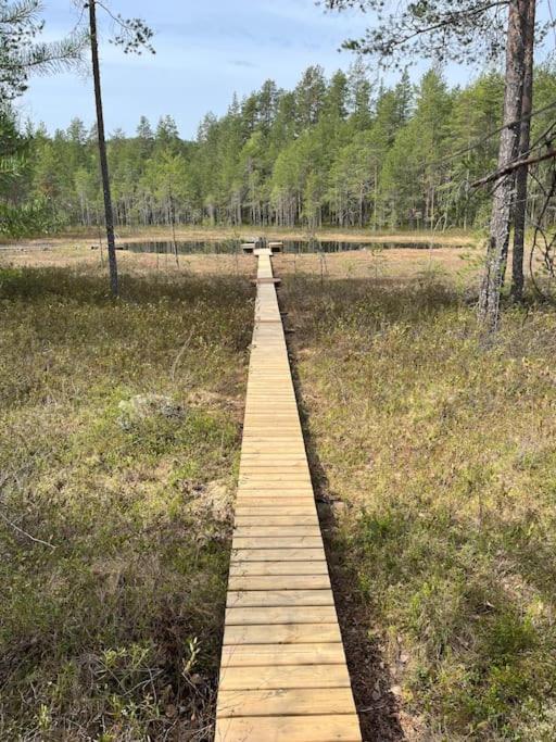 Karhurinne Koli