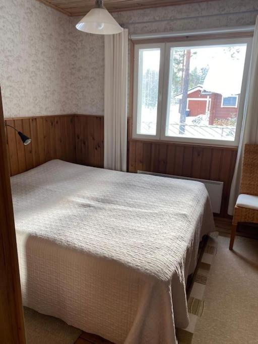 Karhurinne Koli